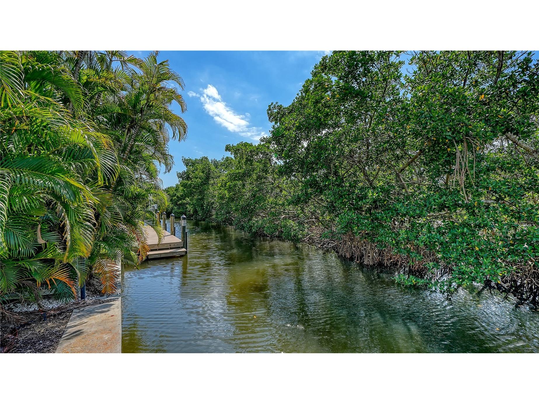 705 Jungle Queen Way Longboat Key FL 34228 A4696488 image24