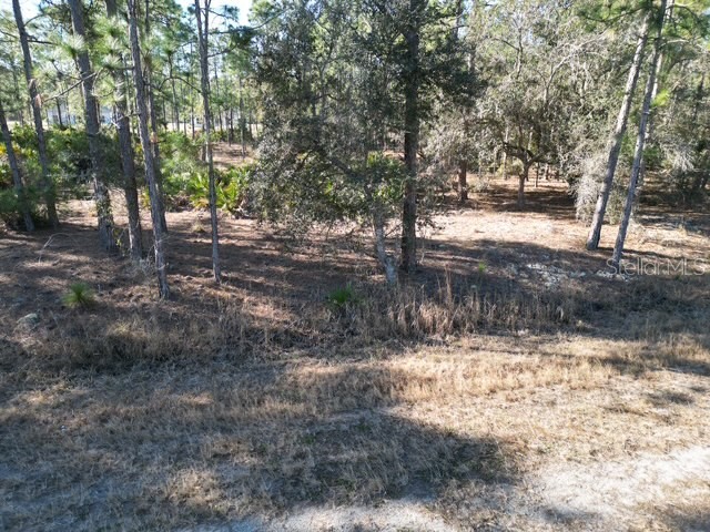 705 Laguna Drive Indian Lake Estates FL 33855 L4959810 image11