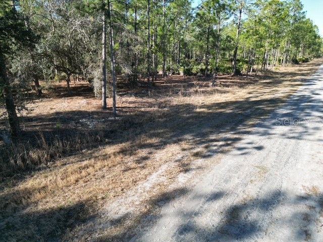 705 Laguna Drive Indian Lake Estates FL 33855 L4959810 image12