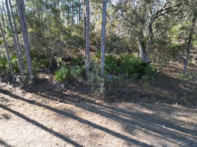705 Laguna Drive Indian Lake Estates FL 33855 L4959810 image14
