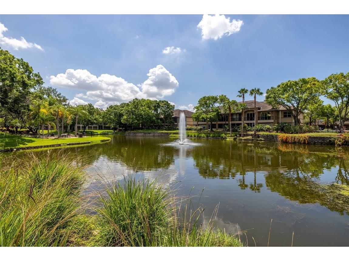 705 Mainsail Drive #705 Tampa FL 33602 TB8405496 image40