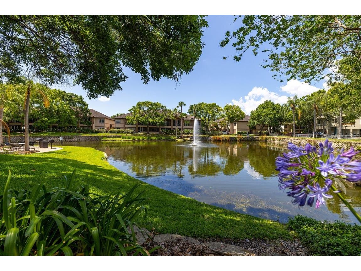 705 Mainsail Drive #705 Tampa FL 33602 TB8405496 image41