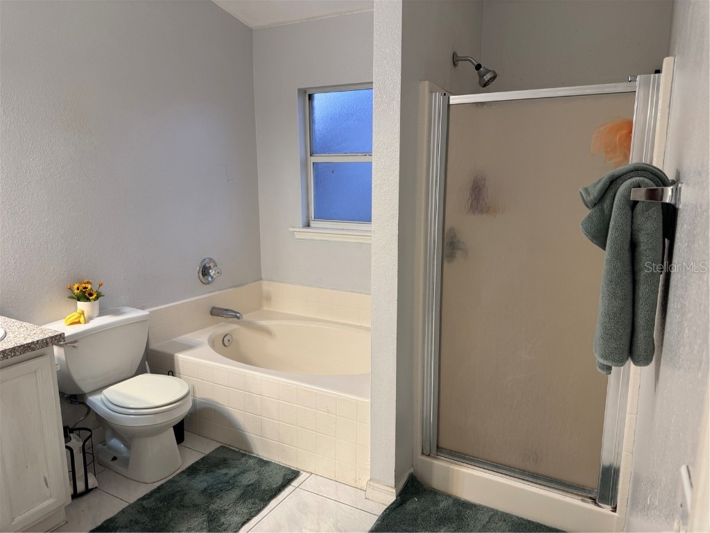 705 Platypus Court Kissimmee FL 34759 O6347681 image15