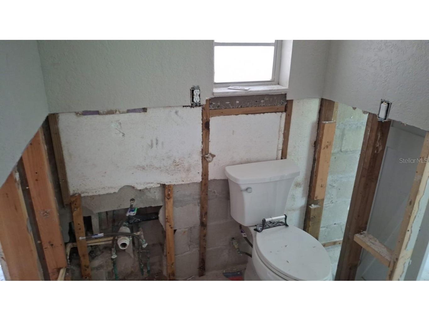 705 Shore Drive E Oldsmar FL 34677 TB8458306 image4