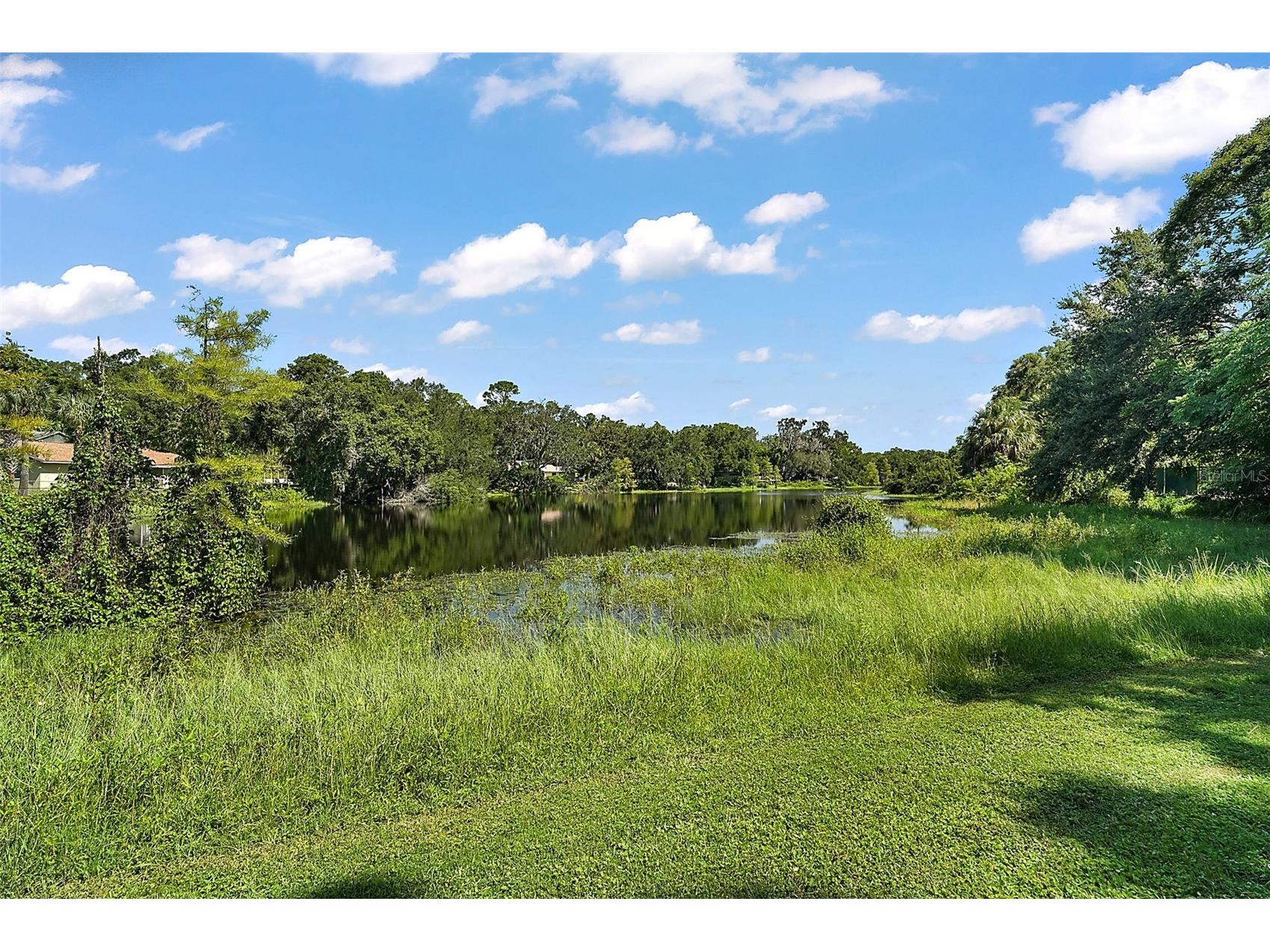 705 Summit Court Mount Dora FL 32757 - LAKE JOHN G5110878 image35