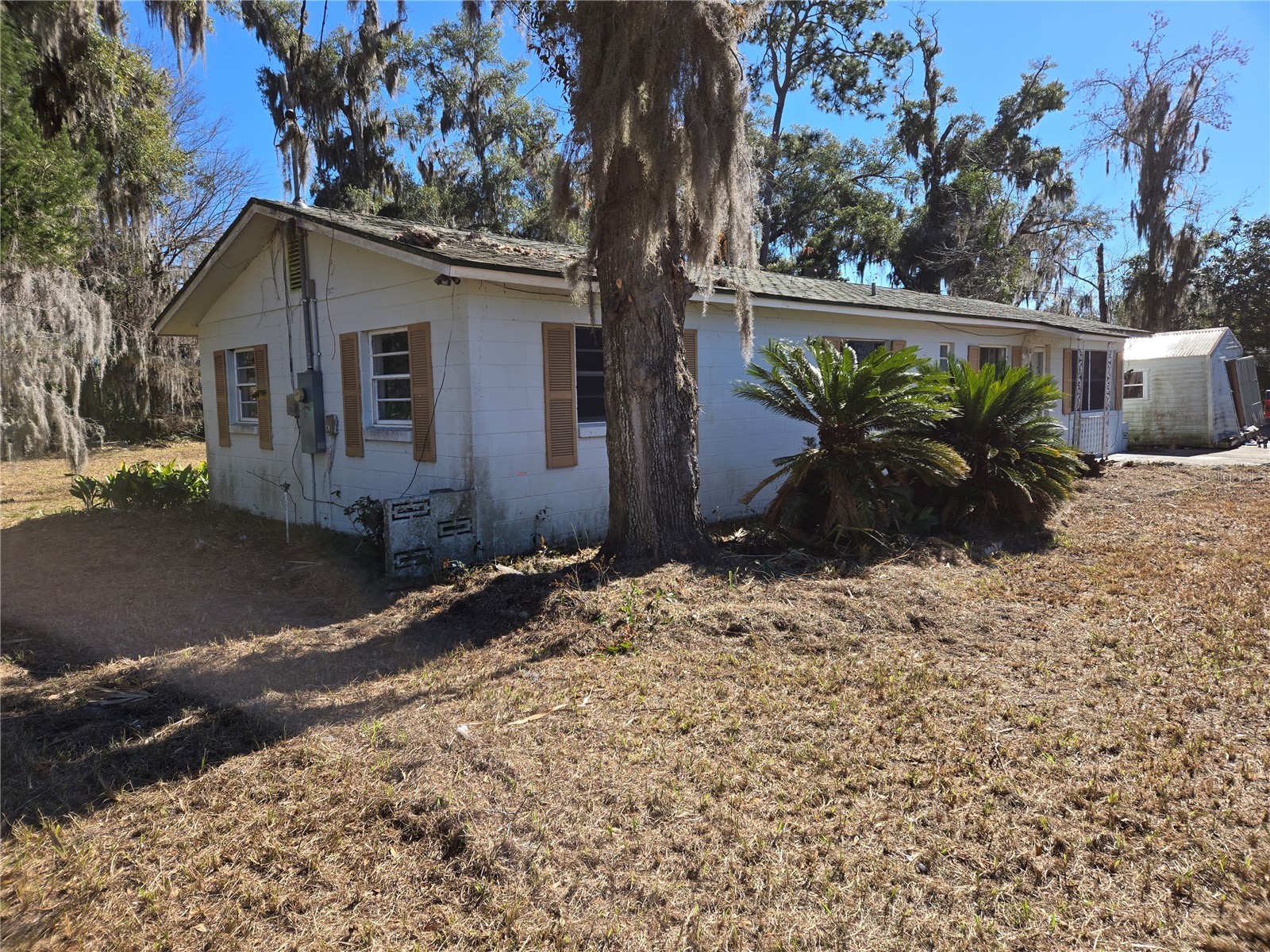 705 SW 12th Avenue Ocala FL 34471 OM717761 image1