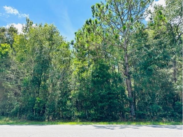 705 SW 4th Avenue Chiefland FL 32626 GC527444 image1