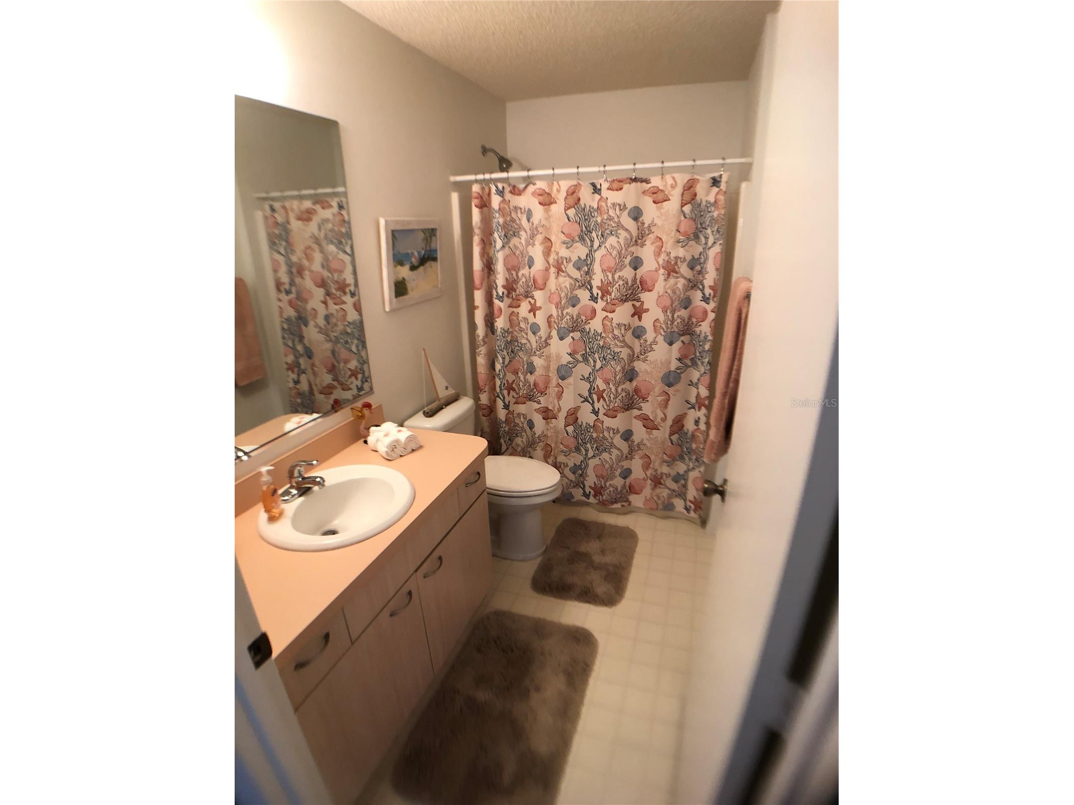 705 Villita Lane Lady Lake FL 32159 G5112826 image18