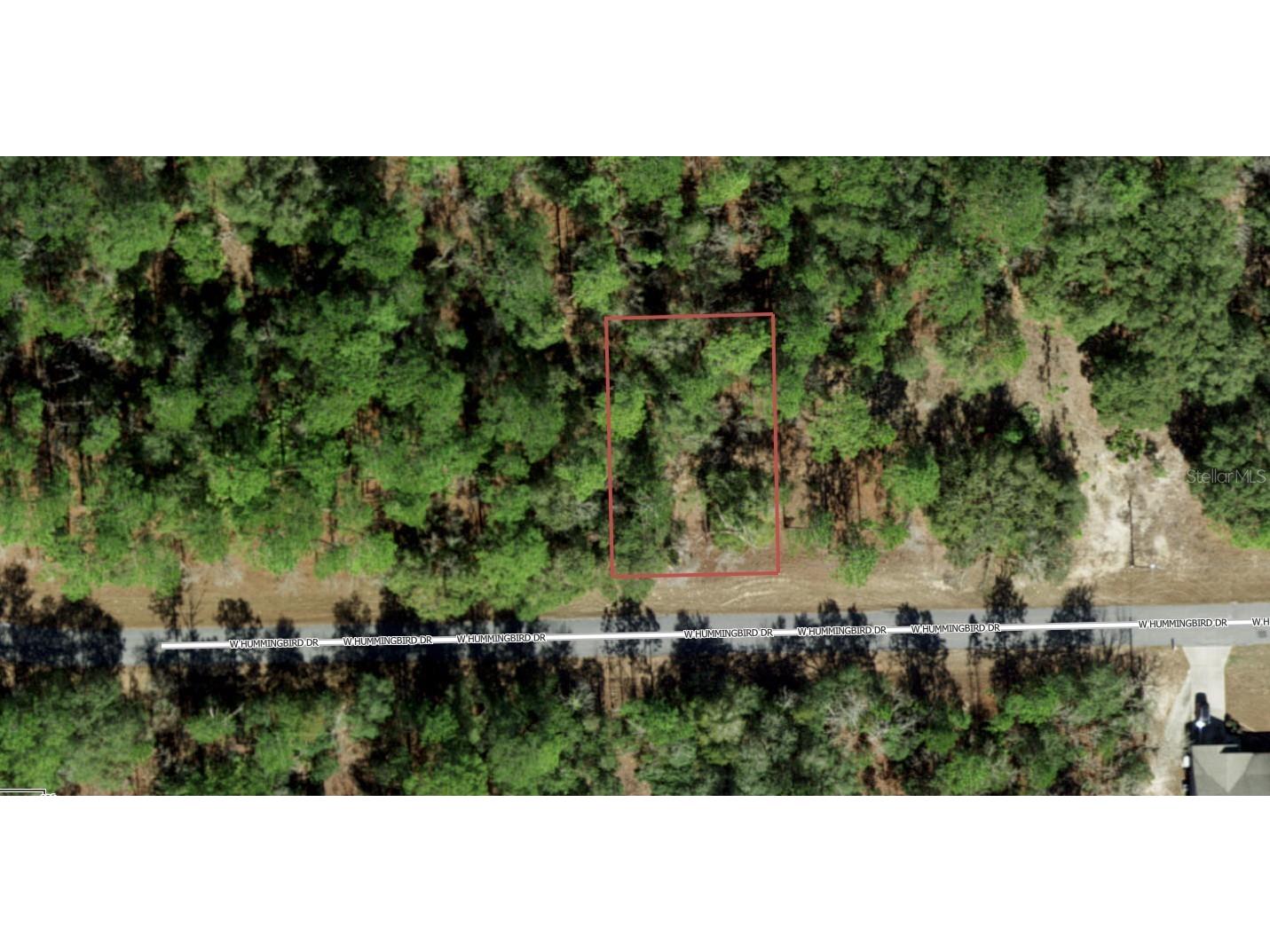 705 W Hummingbird Drive Citrus Springs FL 34434 A4687371 image1