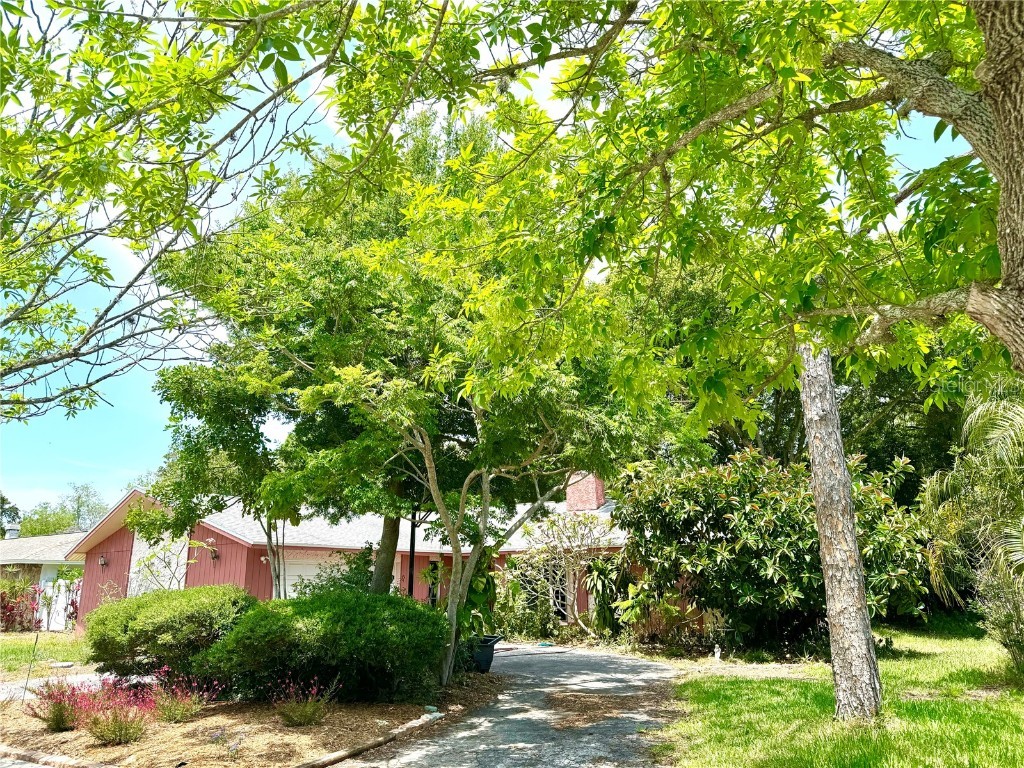 705 Wild Oak Lane Palm Harbor FL 34683 U8241288 image1