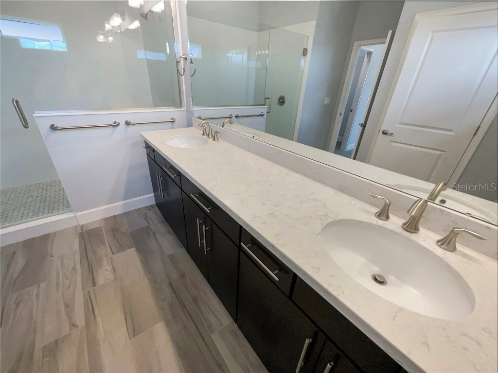 705 Winterside Drive Apollo Beach FL 33572 TB8429962 image21