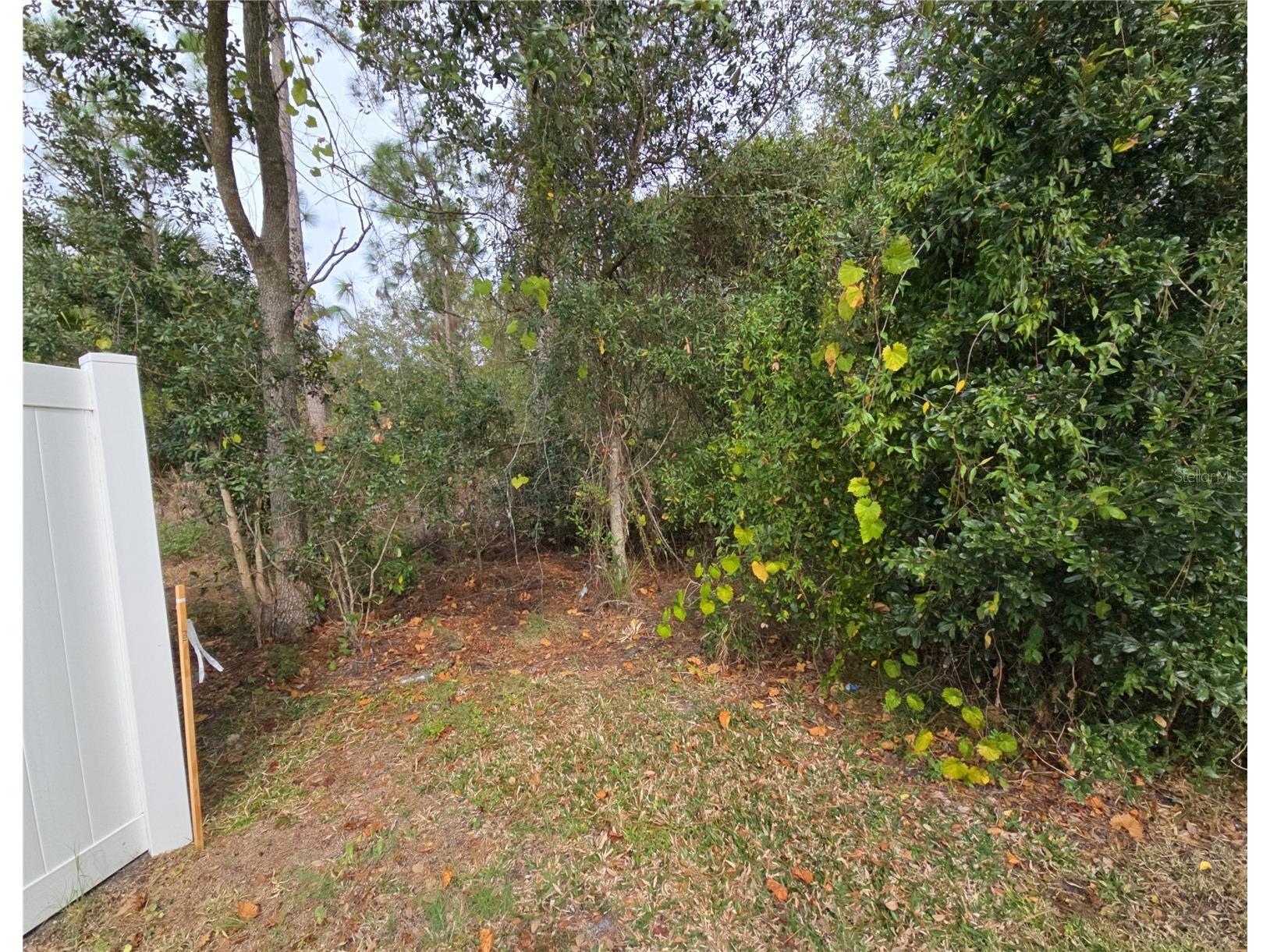 705 Wombat Way Kissimmee FL 34759 S5144609 image2