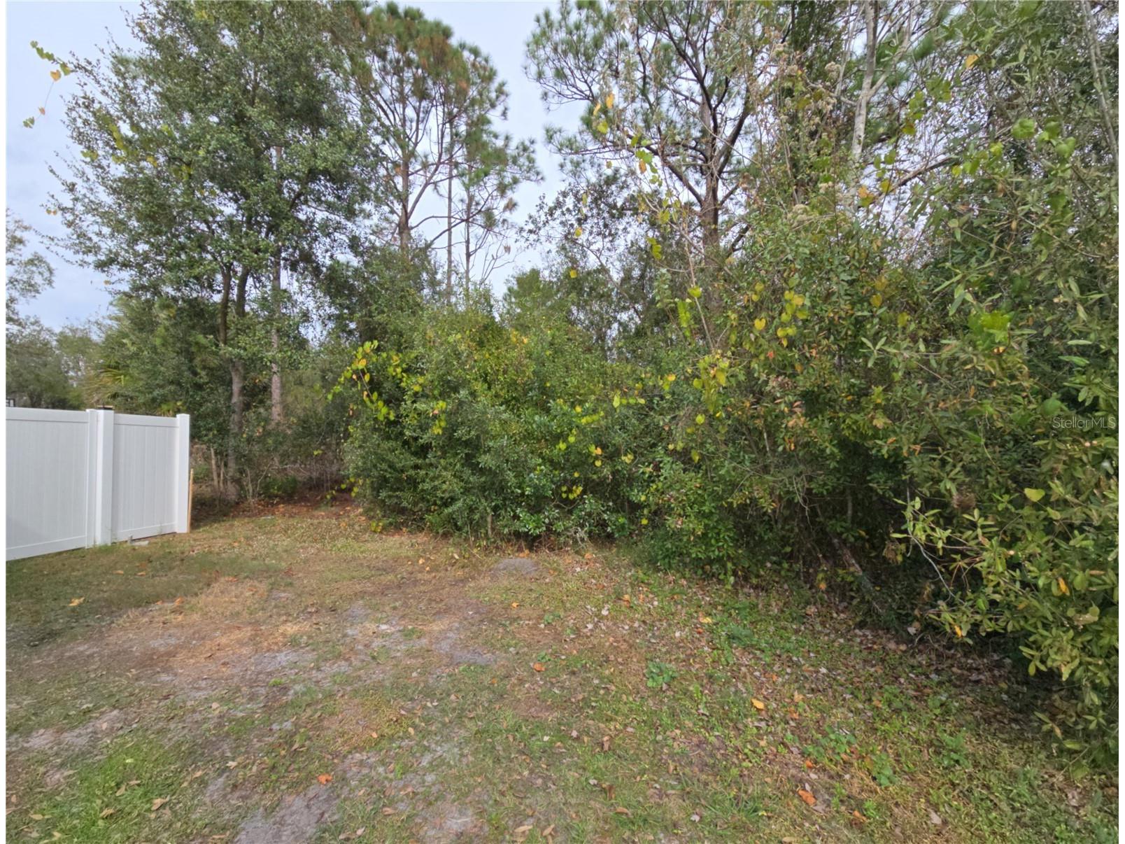 705 Wombat Way Kissimmee FL 34759 S5144609 image3