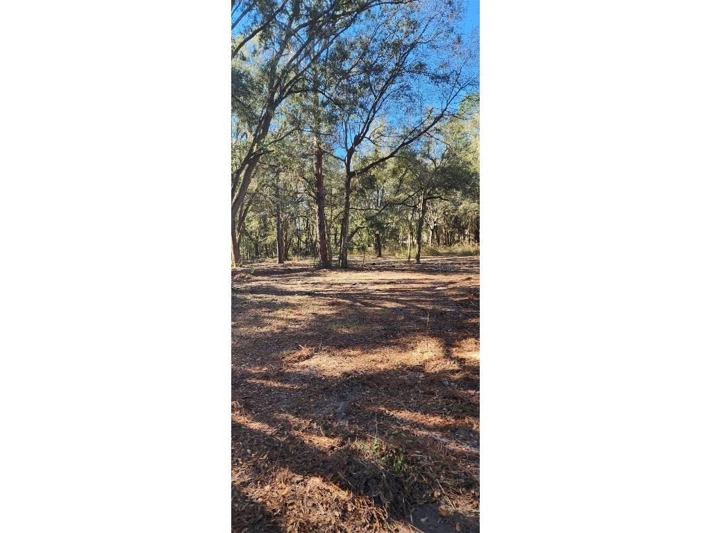 7050 NE 192nd Place Citra FL 32113 T3422047 image1