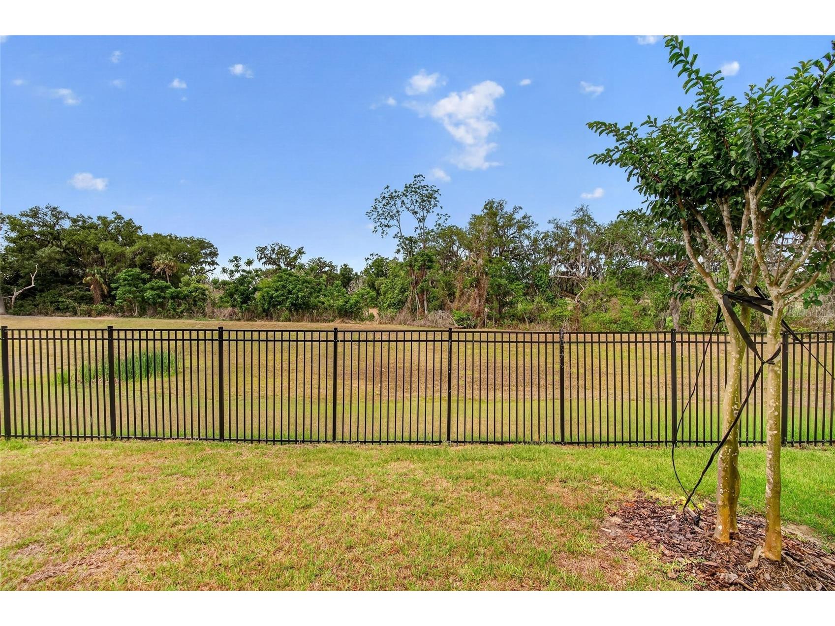7050 Ripple Pond Loop Zephyrhills FL 33541 TB8508111 image35