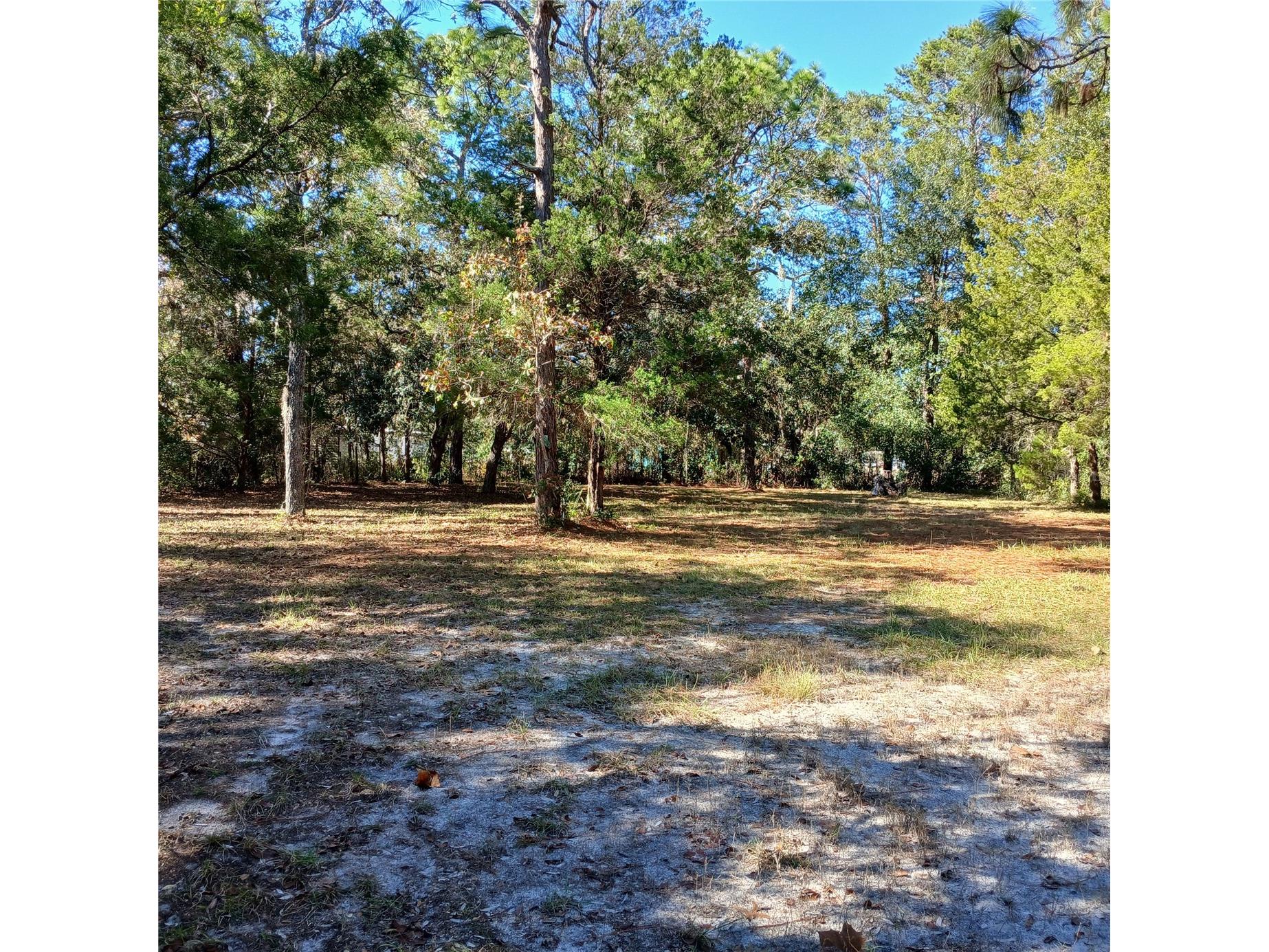 7050 S Sonata Avenue Homosassa FL 34446 OM715017 image13