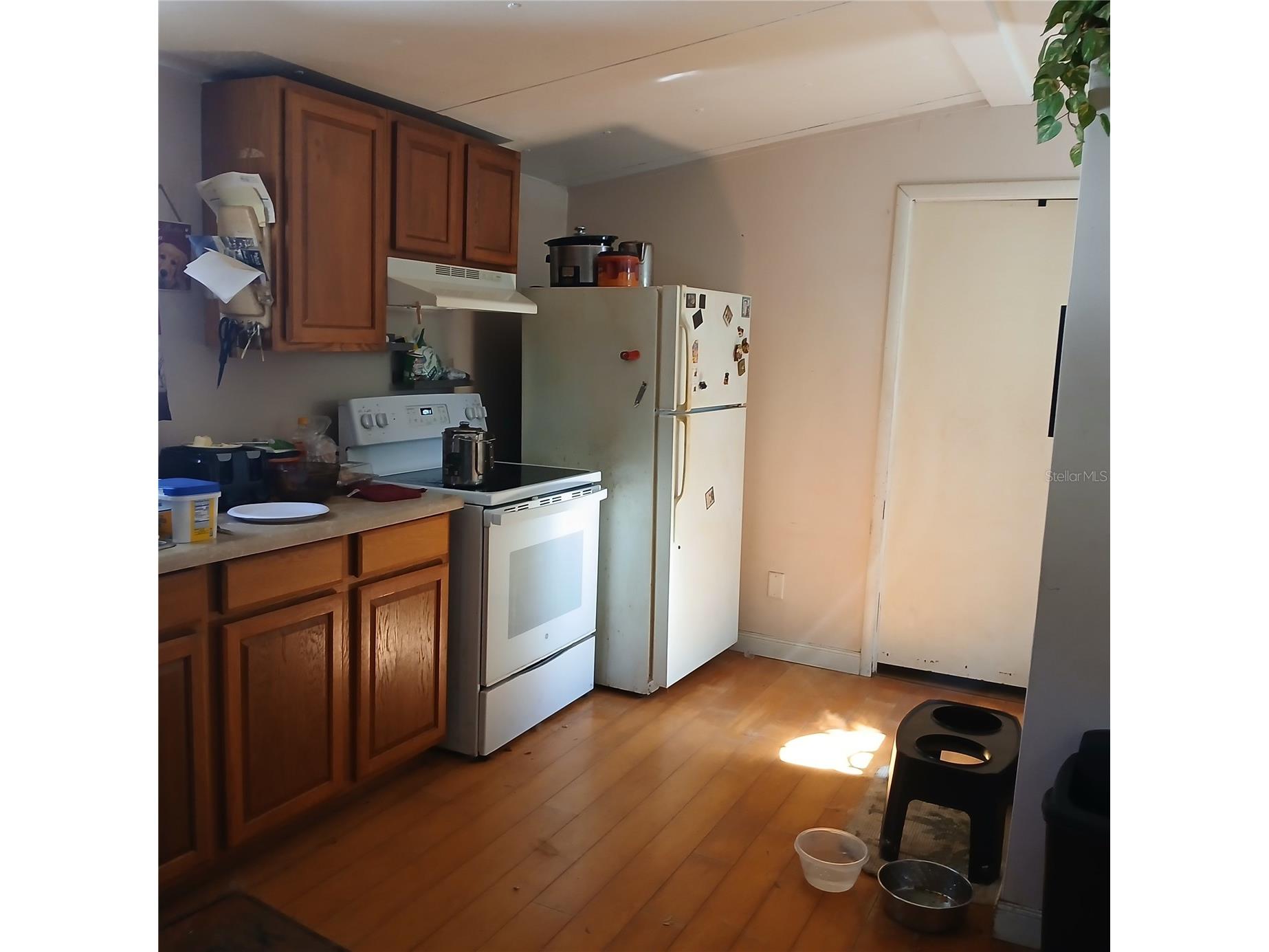 7050 S Sonata Avenue Homosassa FL 34446 OM715017 image15