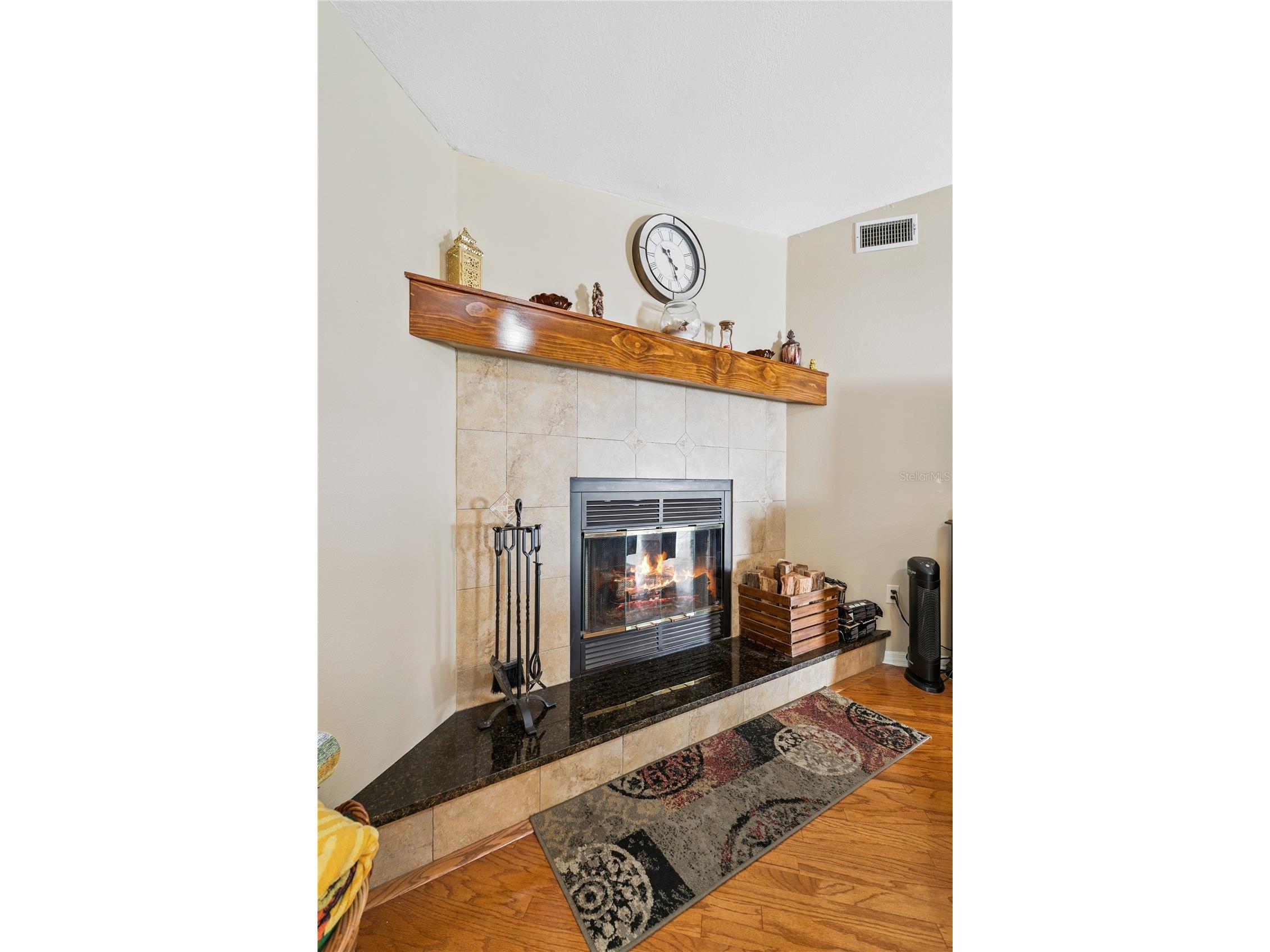 7050 Scenic Hills Boulevard Lakeland FL 33810 P4939065 image9