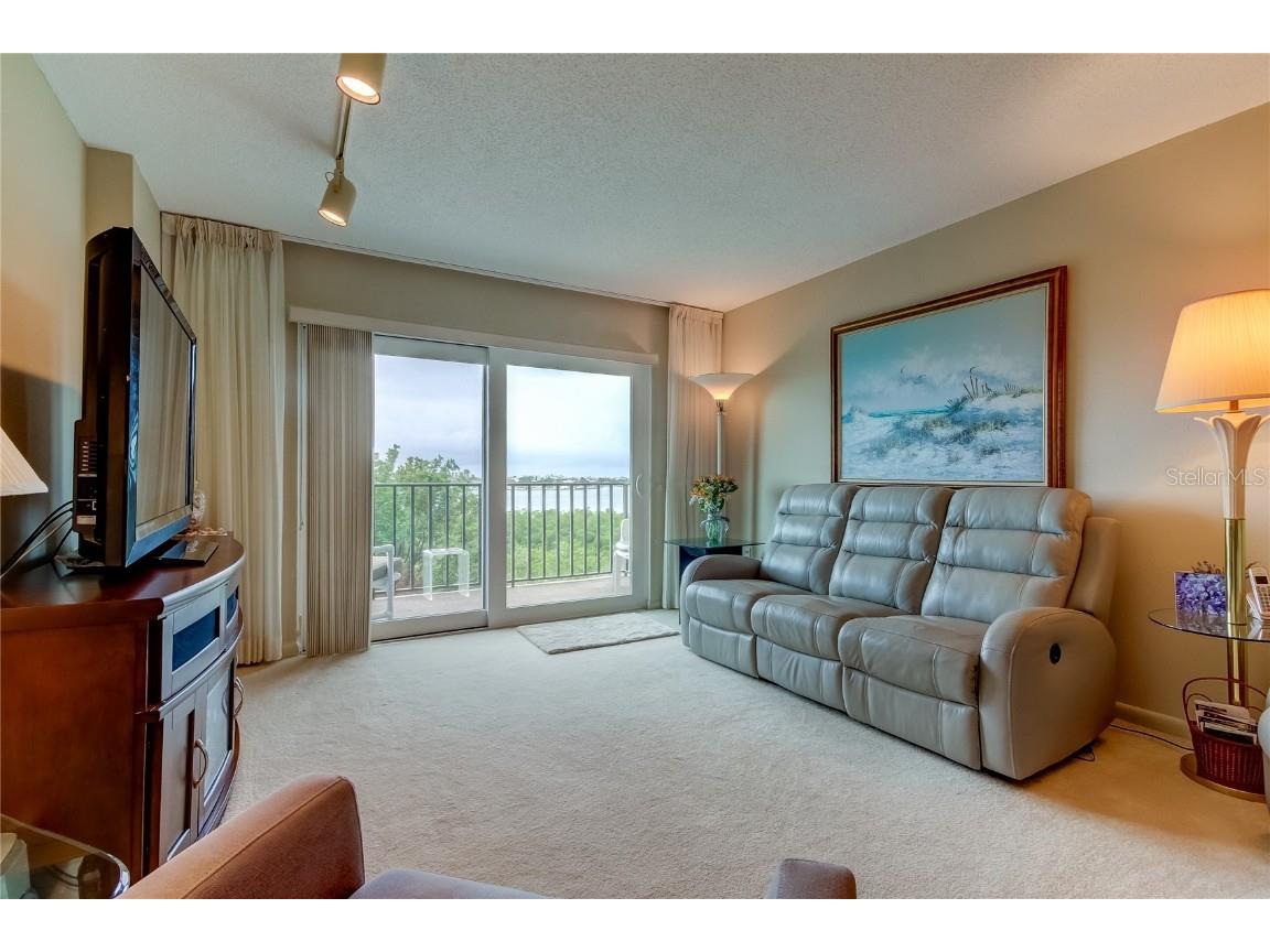 7050 Sunset Drive S #405 South Pasadena FL 33707 - BOCA CIEGA TB8440604 image6