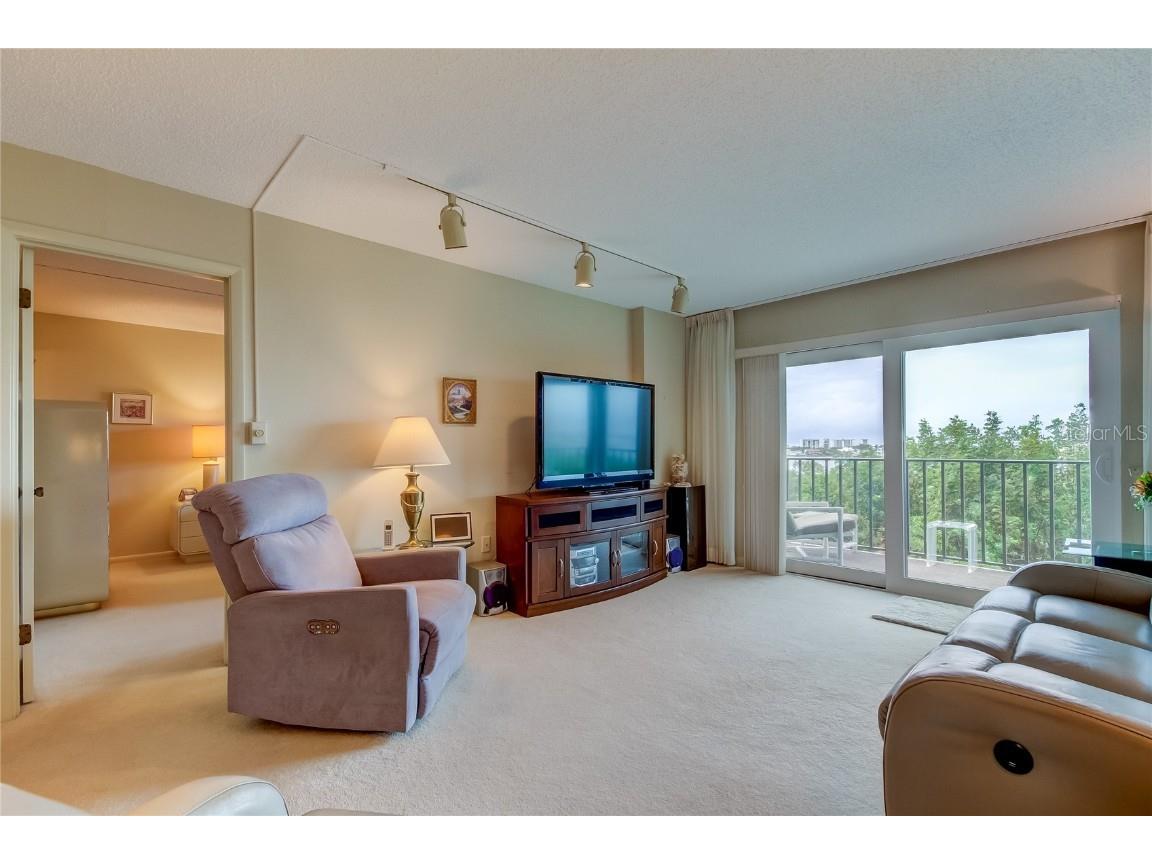 7050 Sunset Drive S #405 South Pasadena FL 33707 - BOCA CIEGA TB8440604 image7