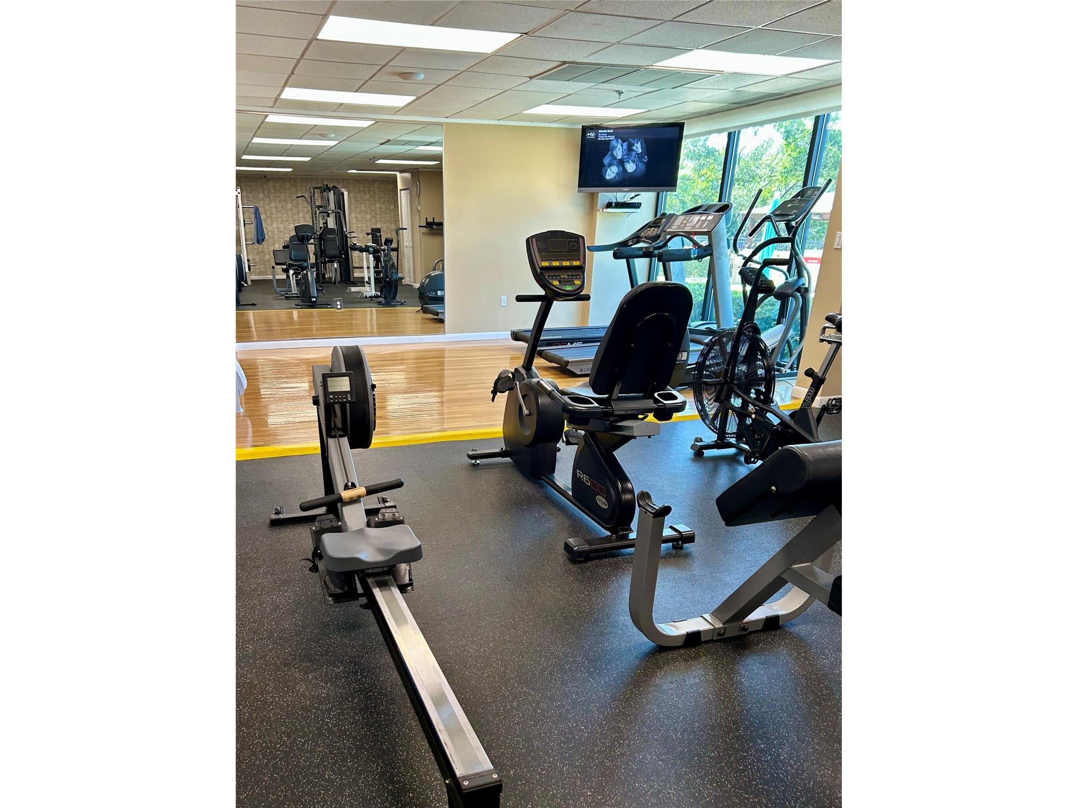 7050 Sunset Drive S #716 South Pasadena FL 33707 TB8471661 image21