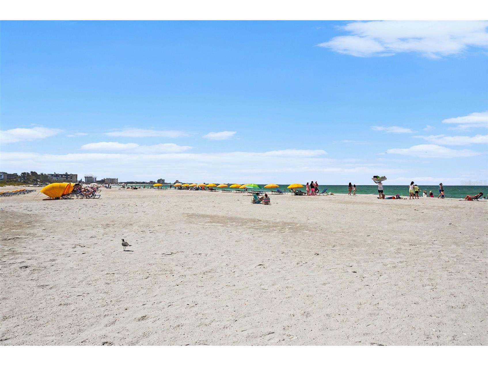 7050 Sunset Way #11 Saint Pete Beach FL 33706 TB8513318 image23