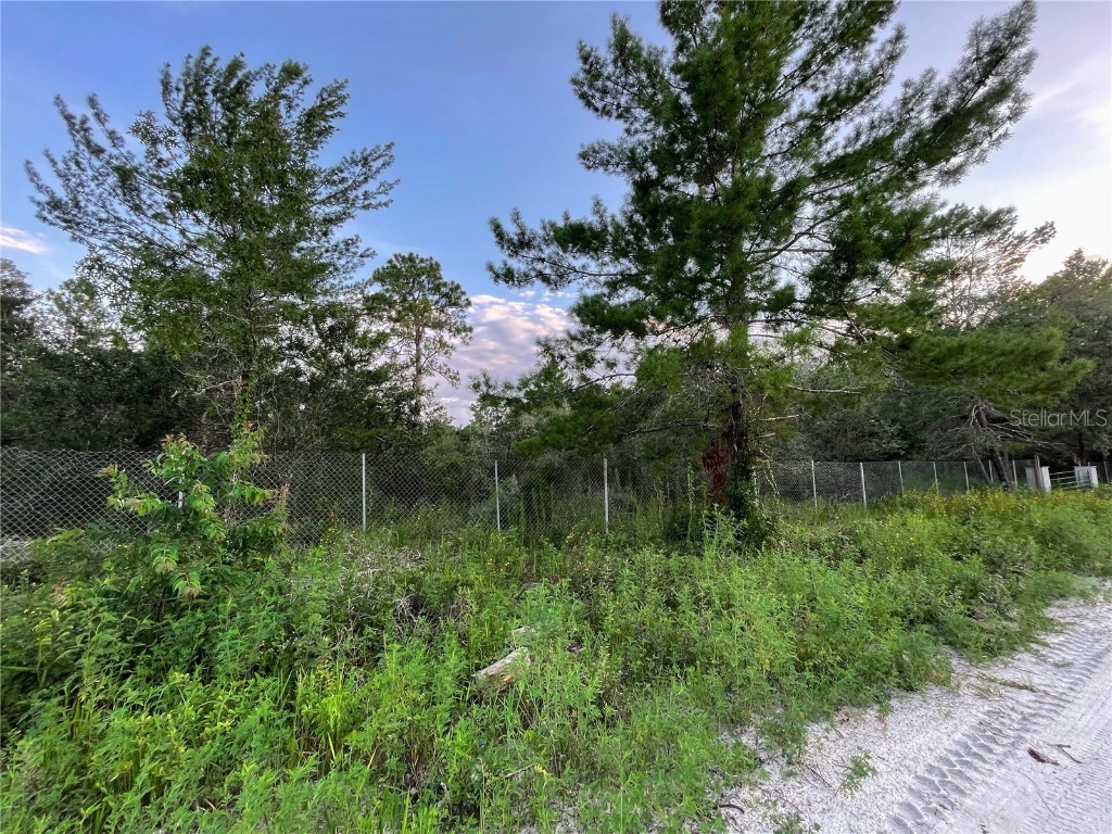 7050 SW 146th Lane Road Ocala FL 34473 OM662071 image1