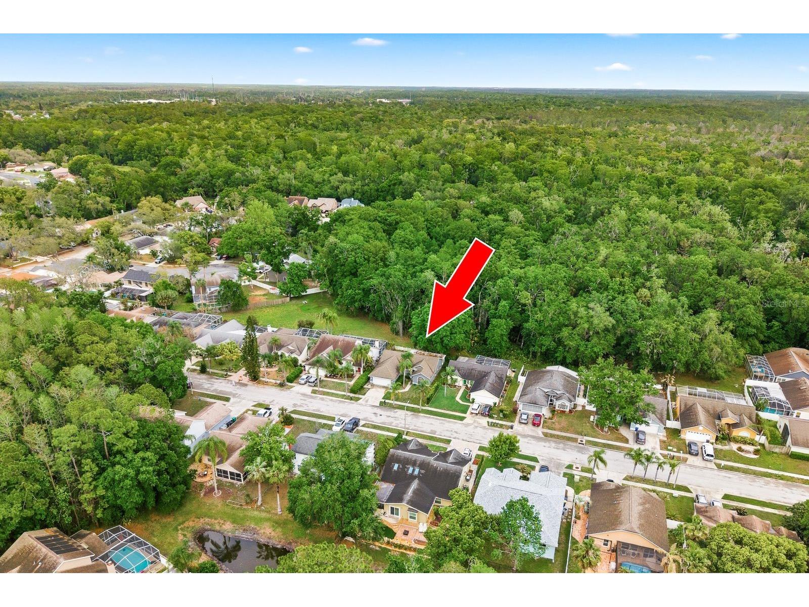 7050 Woodibis Drive New Port Richey FL 34654 TB8494941 image2