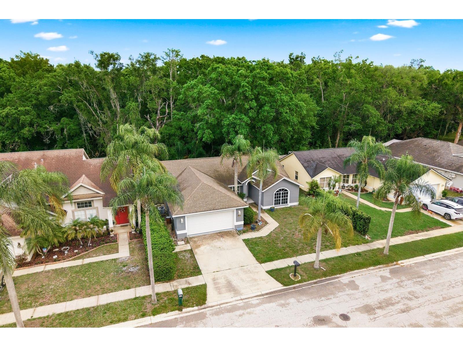 7050 Woodibis Drive New Port Richey FL 34654 TB8494941 image37
