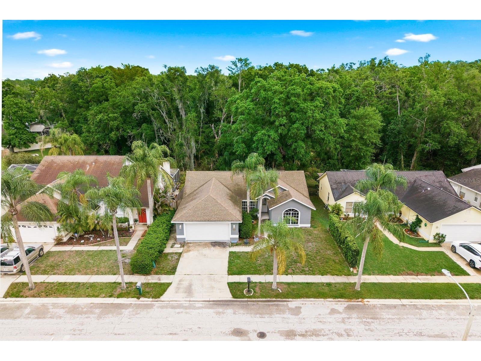 7050 Woodibis Drive New Port Richey FL 34654 TB8494941 image38