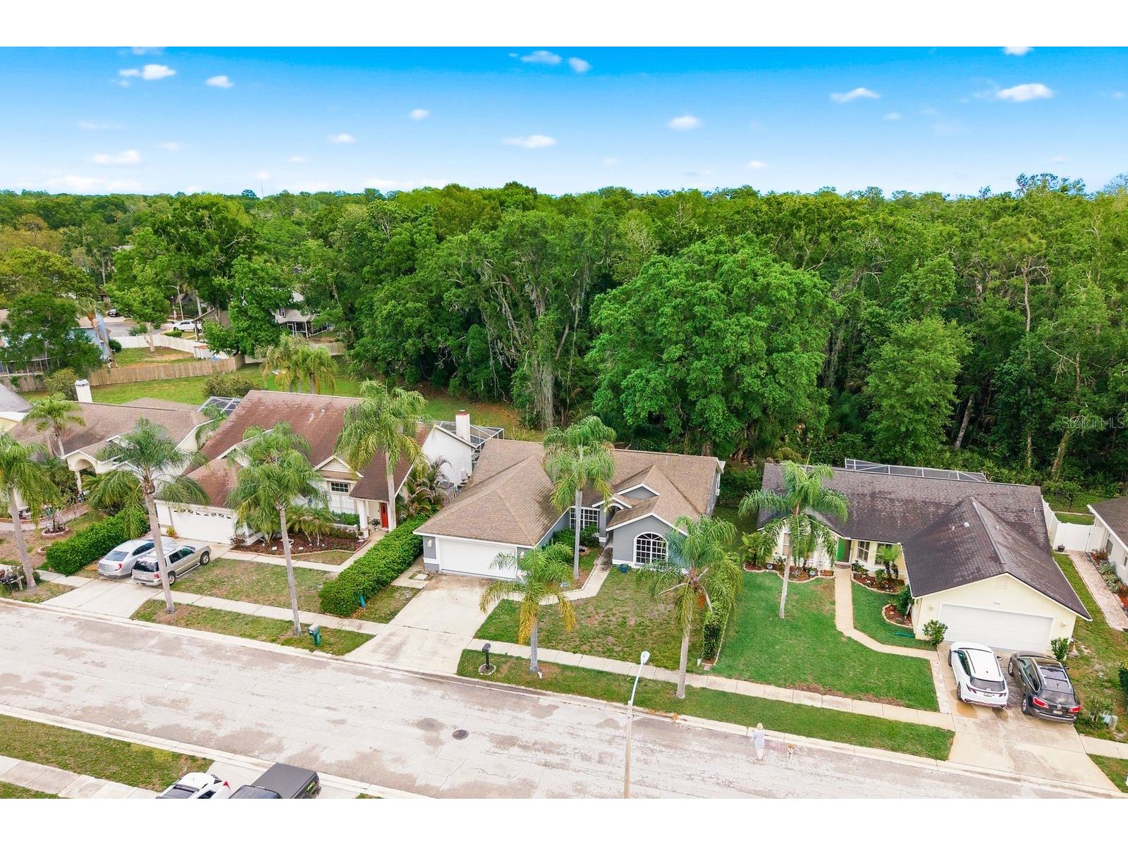 7050 Woodibis Drive New Port Richey FL 34654 TB8494941 image39