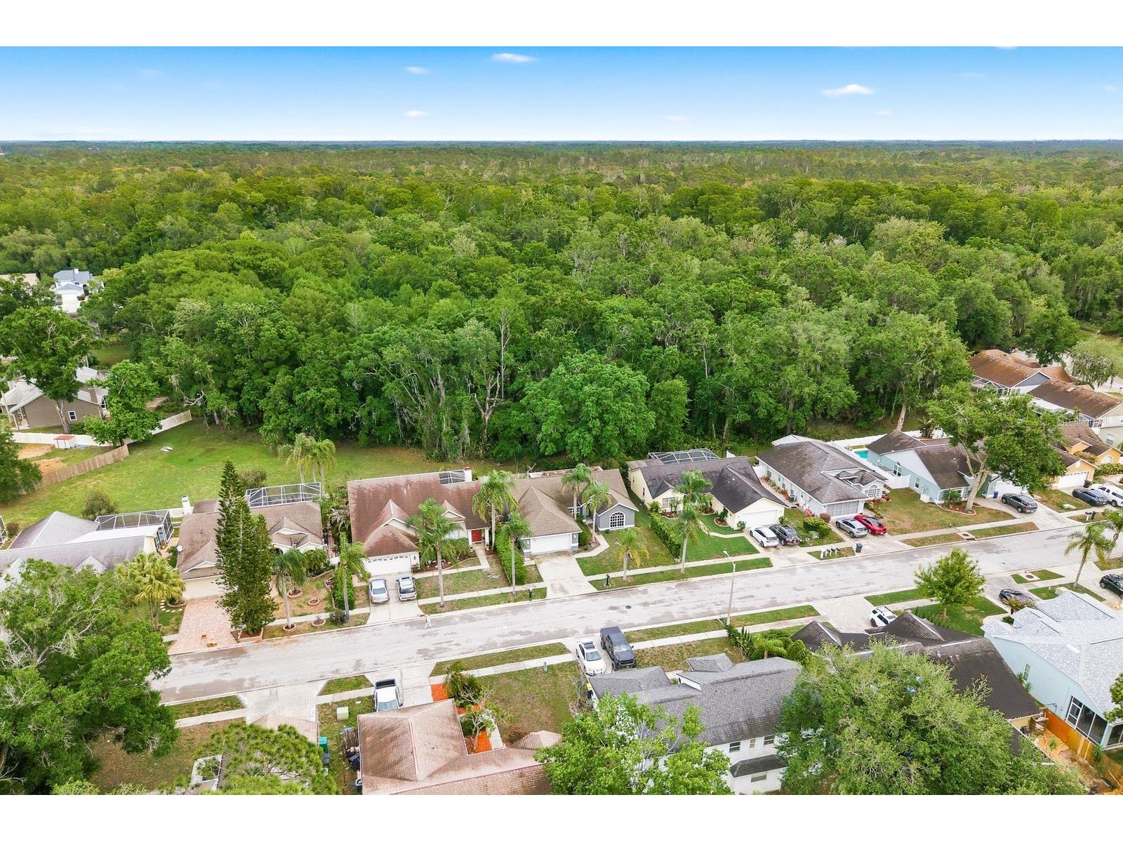 7050 Woodibis Drive New Port Richey FL 34654 TB8494941 image40