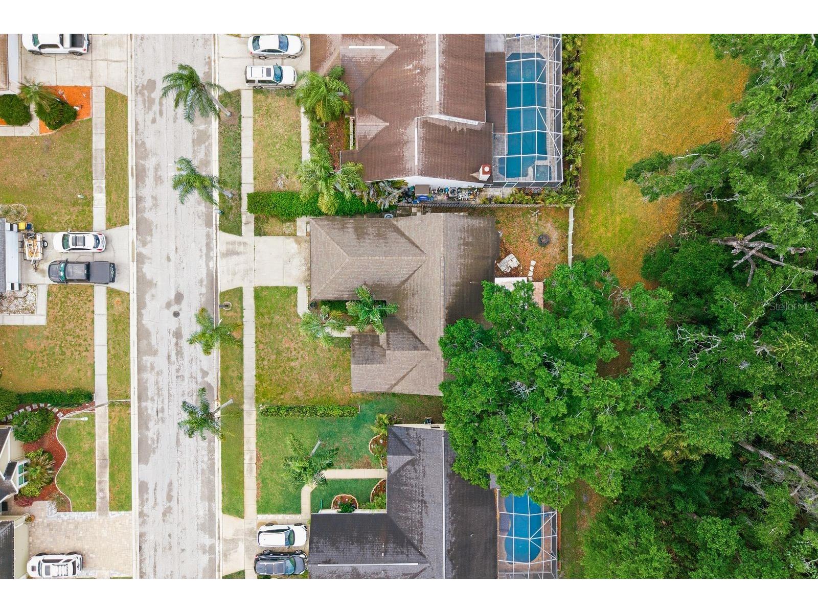 7050 Woodibis Drive New Port Richey FL 34654 TB8494941 image41
