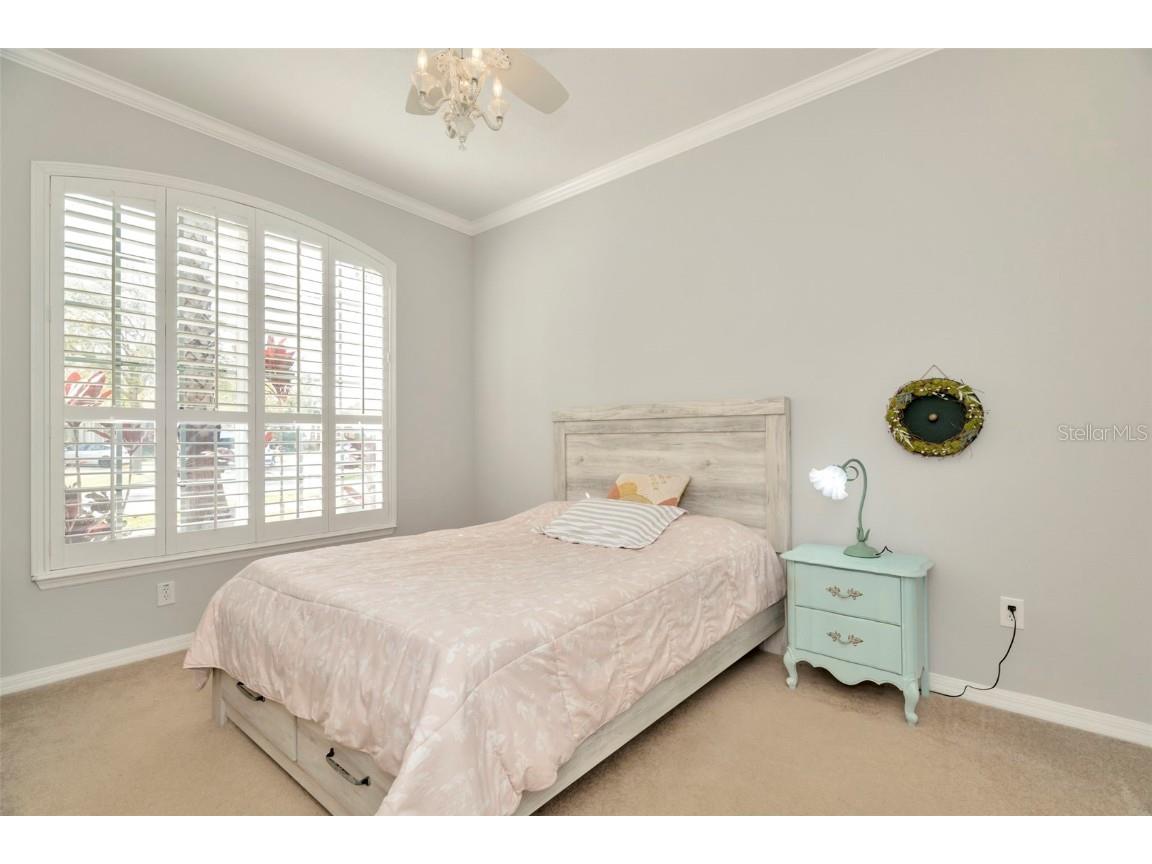 7051 Derwent Glen Circle Land O Lakes FL 34637 TB8365892 image29