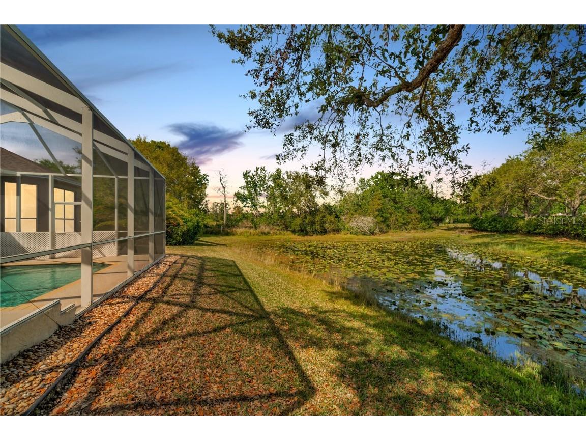 7051 Derwent Glen Circle Land O Lakes FL 34637 TB8365892 image3