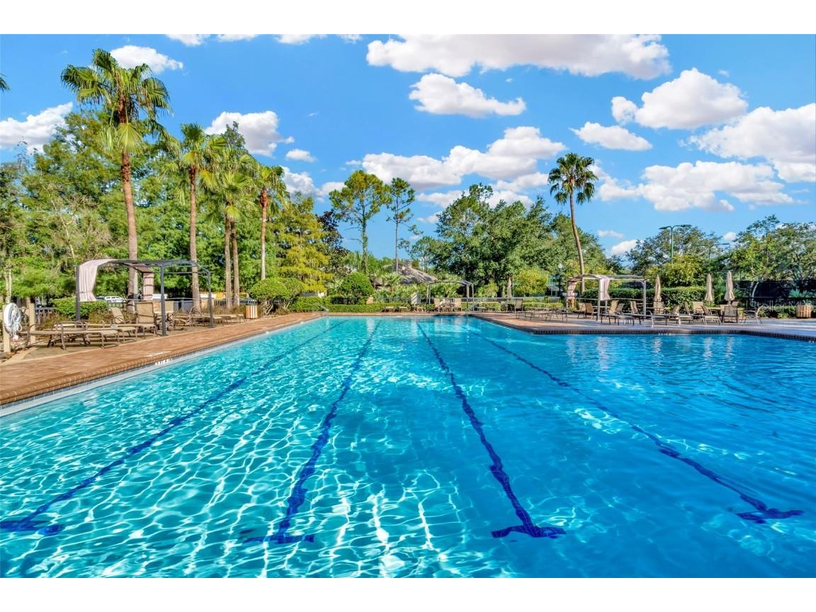 7051 Derwent Glen Circle Land O Lakes FL 34637 TB8365892 image48