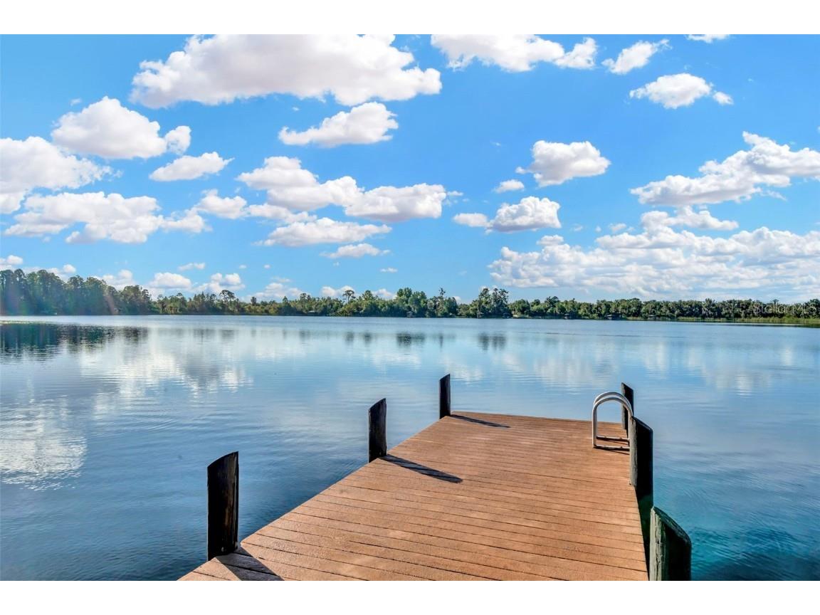 7051 Derwent Glen Circle Land O Lakes FL 34637 TB8365892 image54