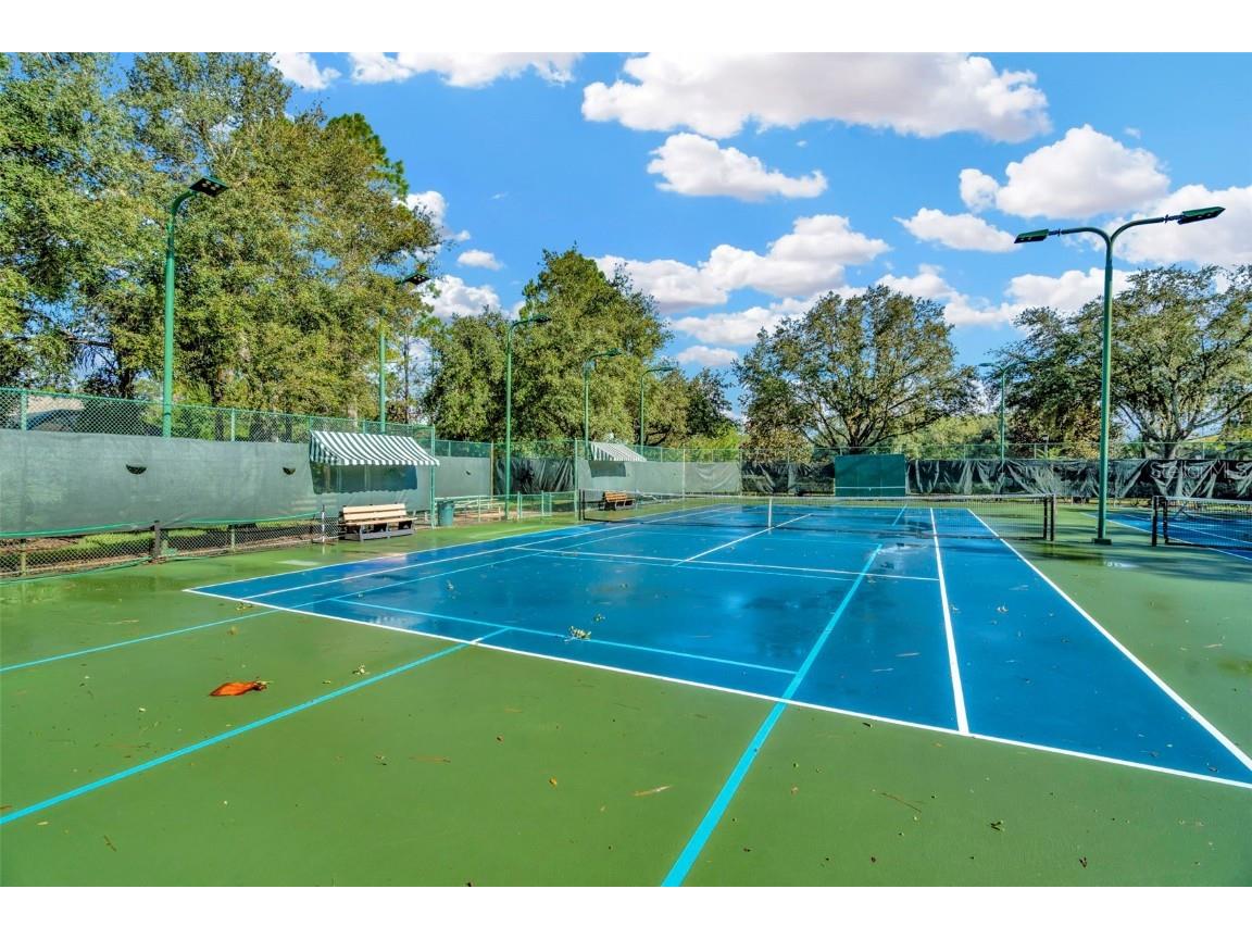 7051 Derwent Glen Circle Land O Lakes FL 34637 TB8365892 image67