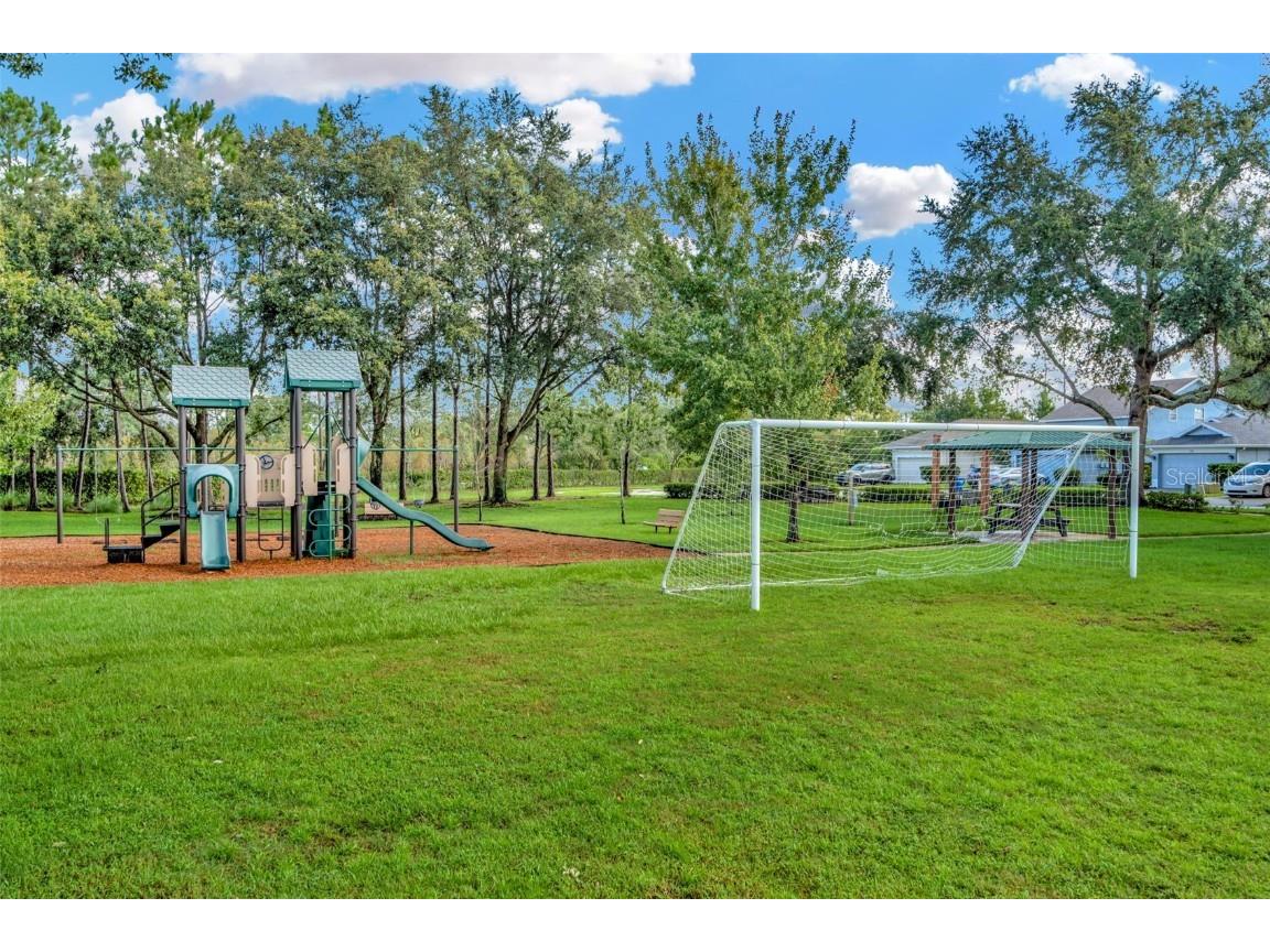 7051 Derwent Glen Circle Land O Lakes FL 34637 TB8365892 image68