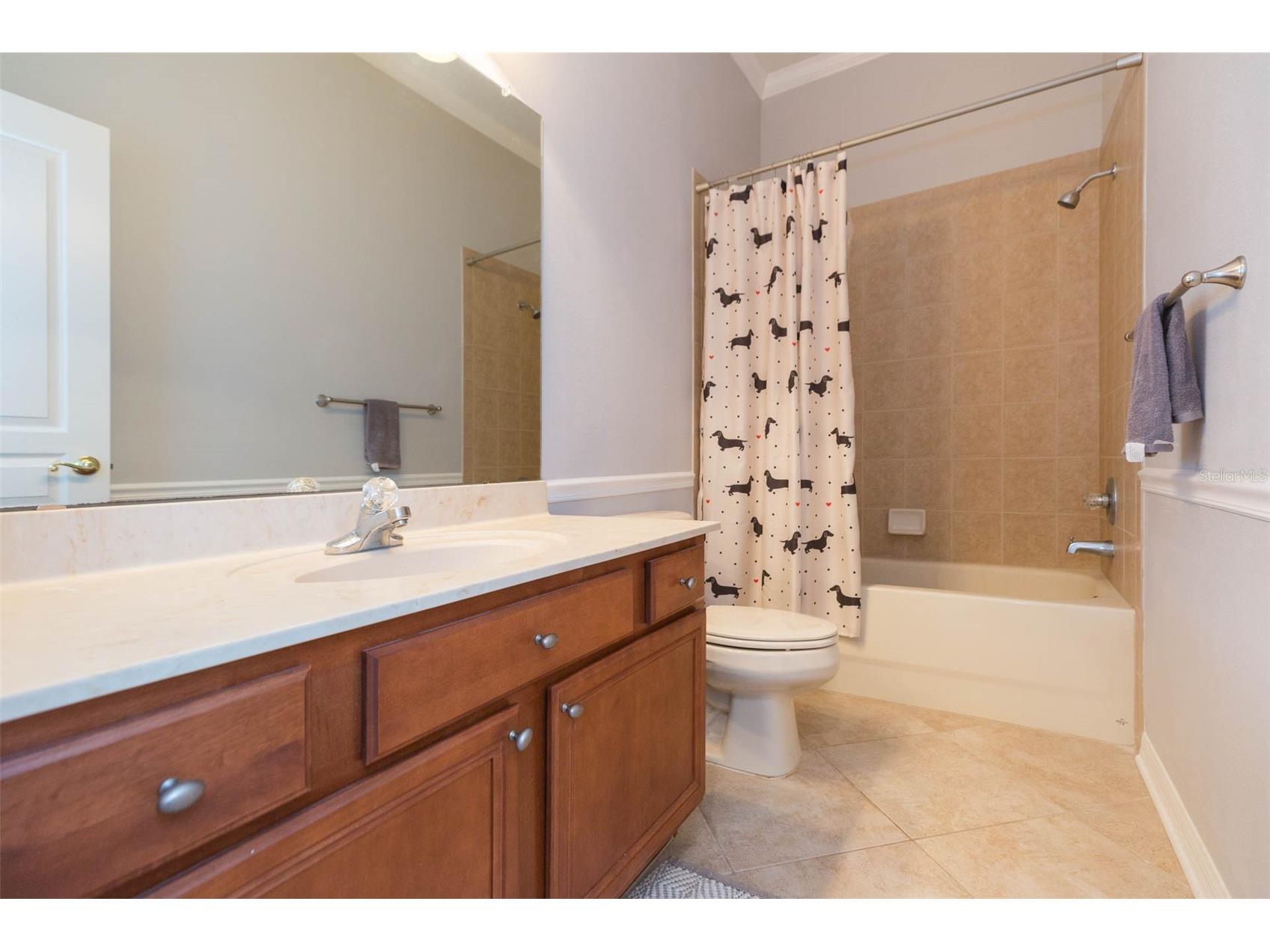 7051 Derwent Glen Circle Land O Lakes FL 34637 TB8478286 image29