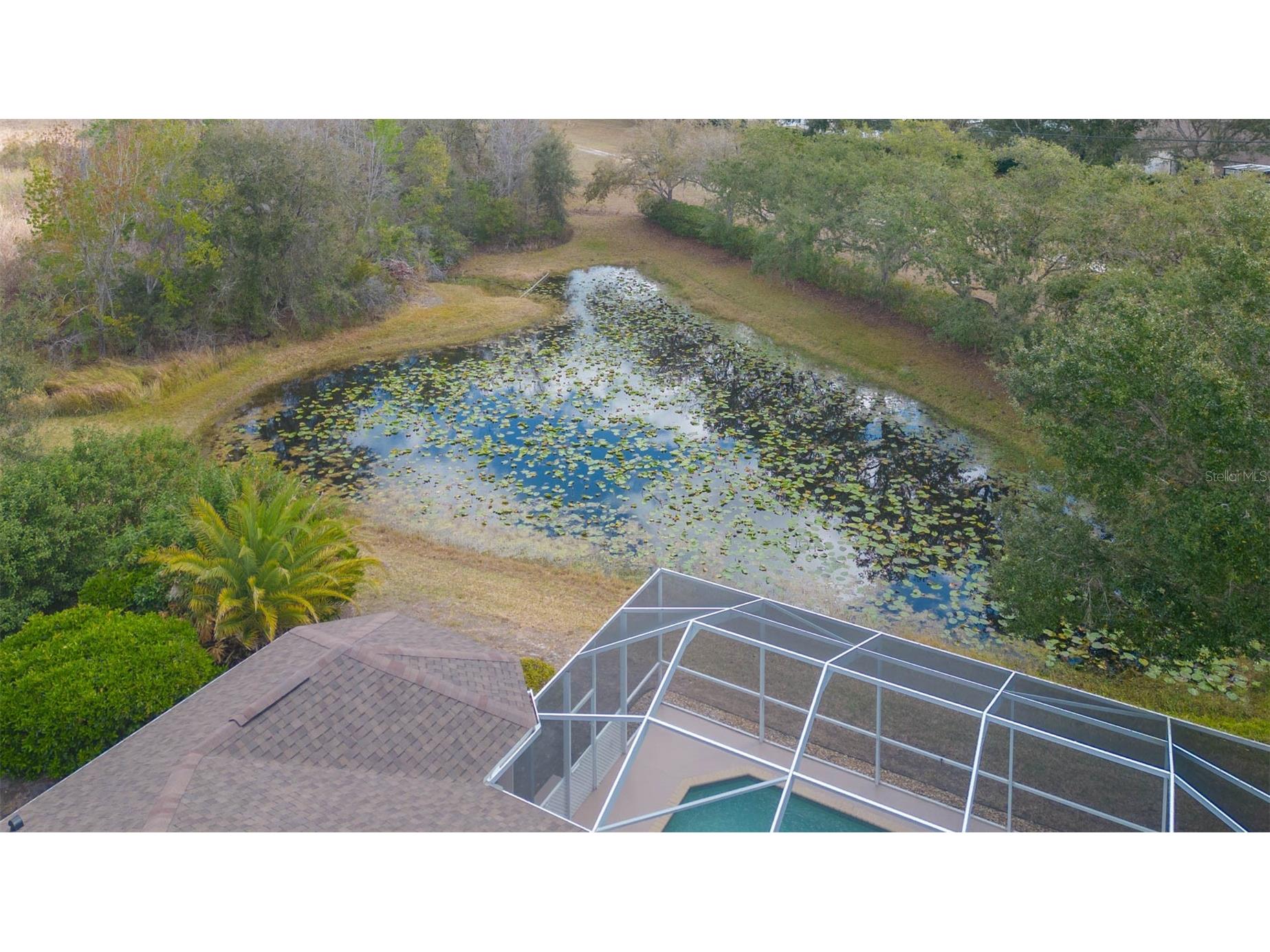 7051 Derwent Glen Circle Land O Lakes FL 34637 TB8478286 image42