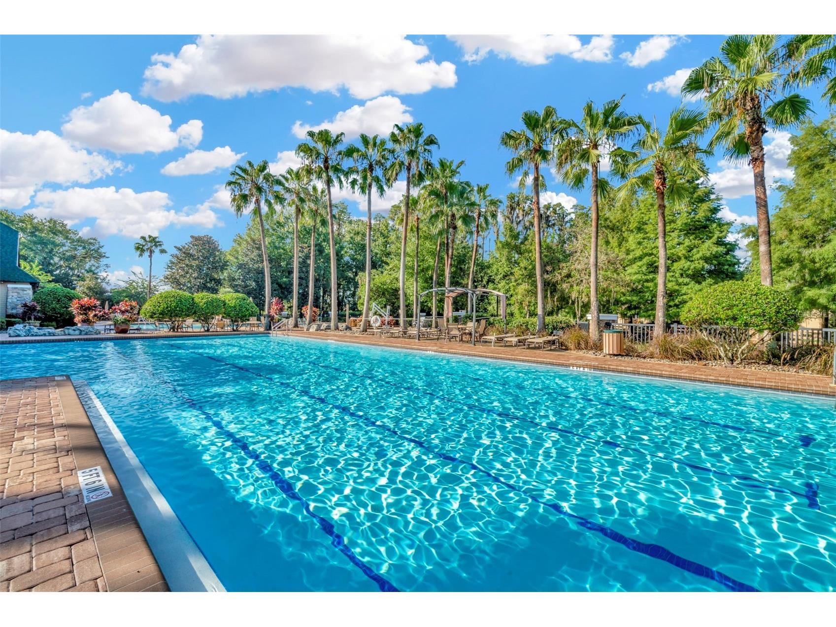 7051 Derwent Glen Circle Land O Lakes FL 34637 TB8478286 image47