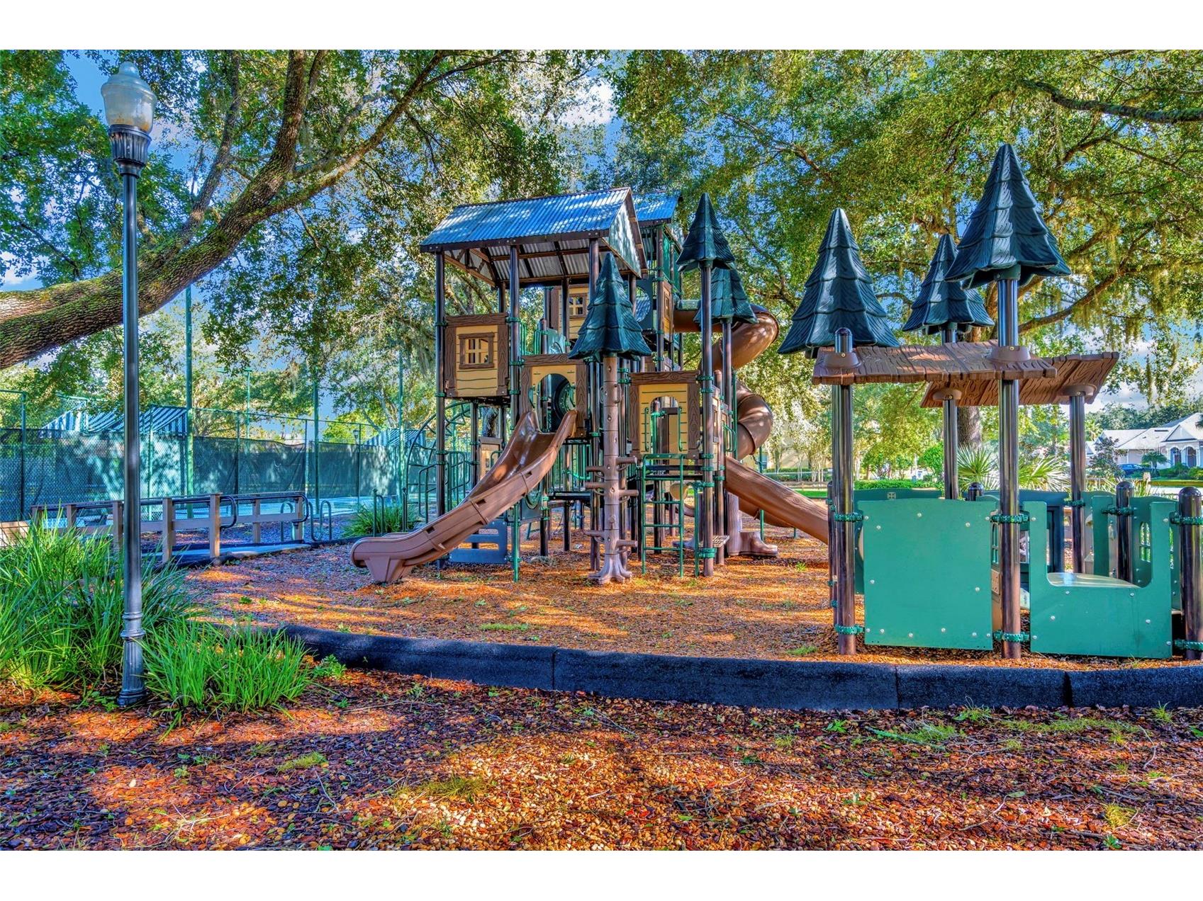 7051 Derwent Glen Circle Land O Lakes FL 34637 TB8478286 image53