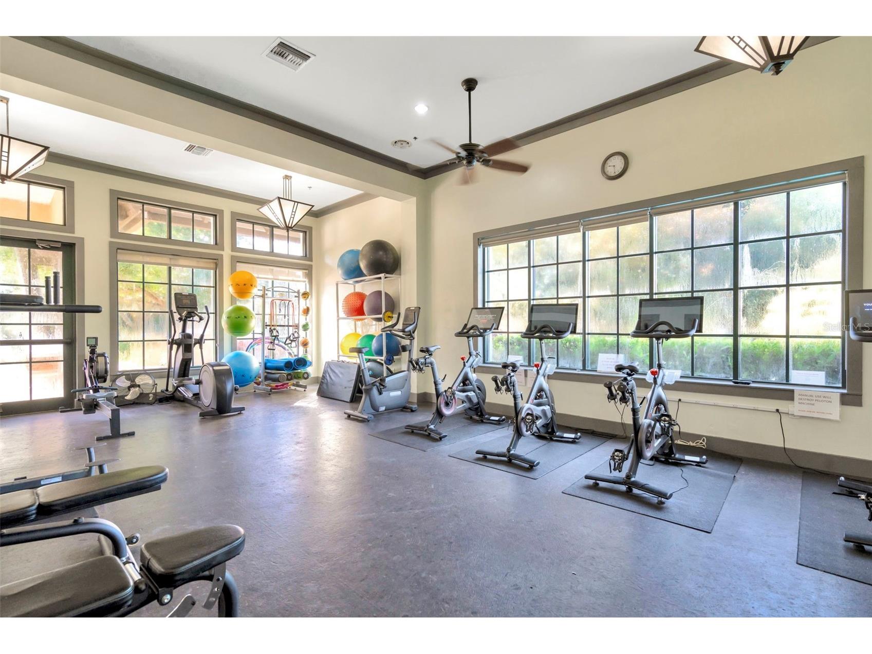 7051 Derwent Glen Circle Land O Lakes FL 34637 TB8478286 image55