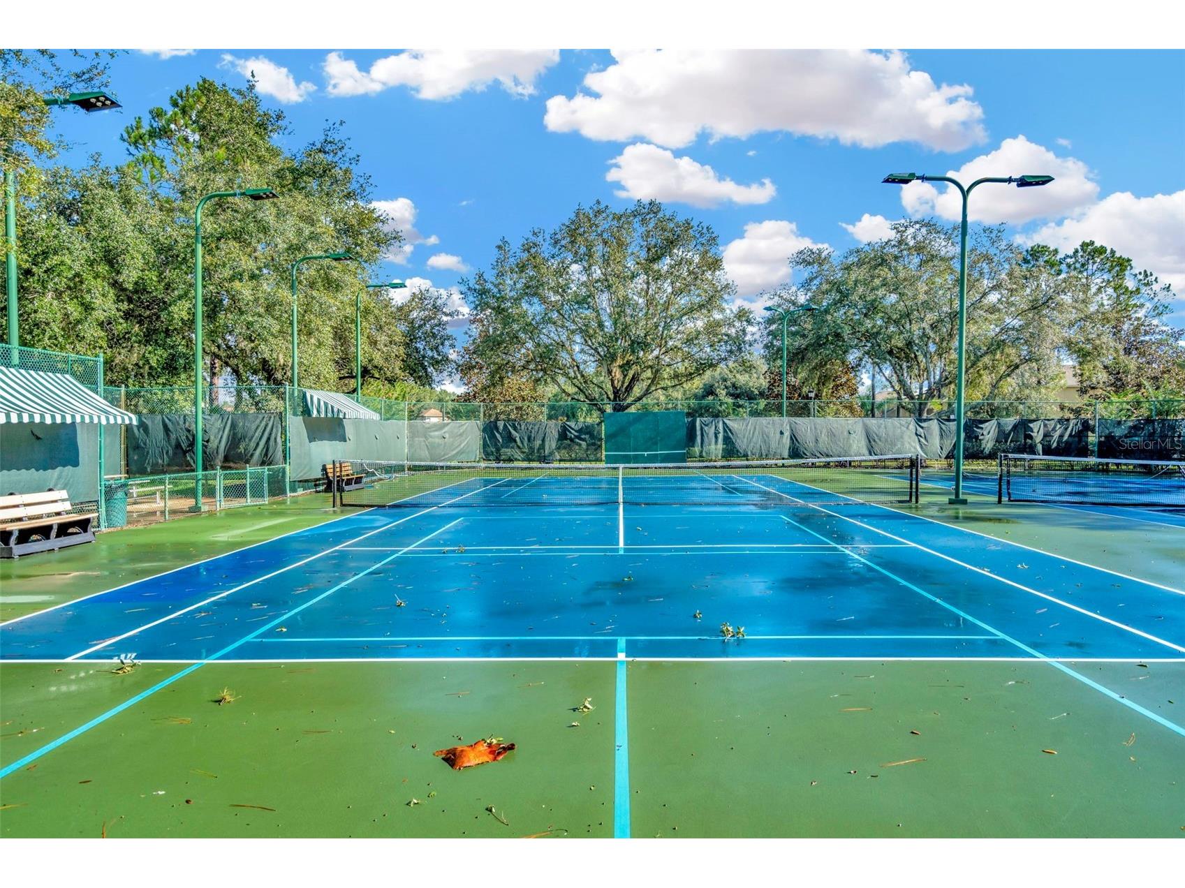 7051 Derwent Glen Circle Land O Lakes FL 34637 TB8478286 image64