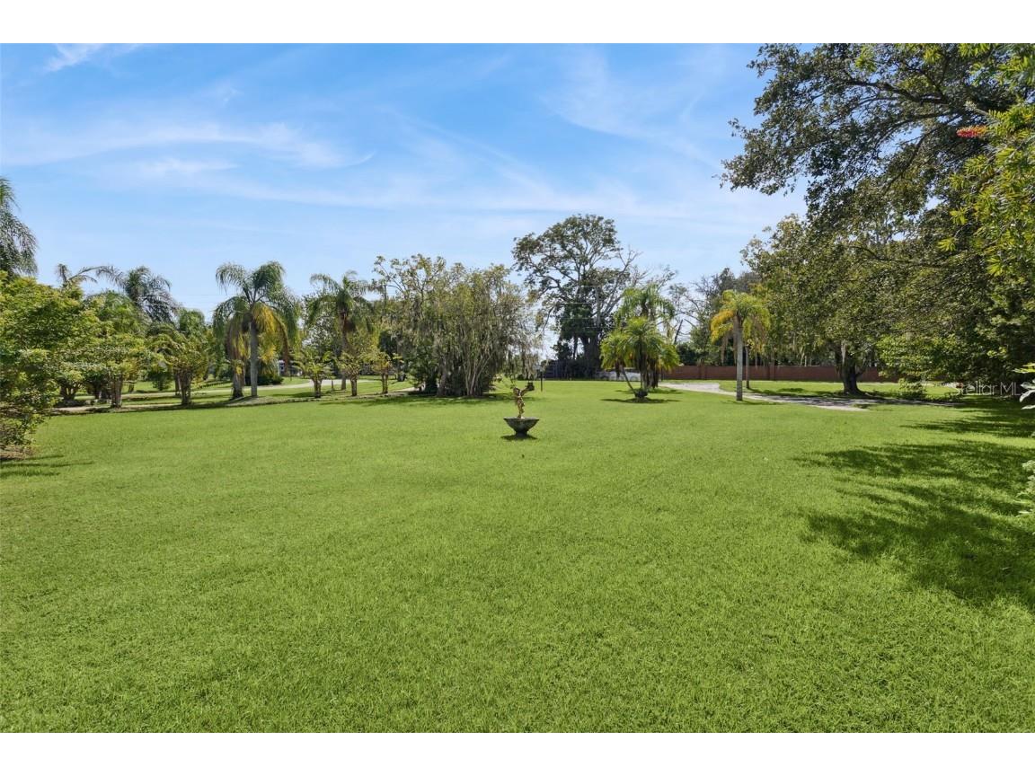 7051 Sadler Road Mount Dora FL 32757 - LAKE OLA O6348657 image43