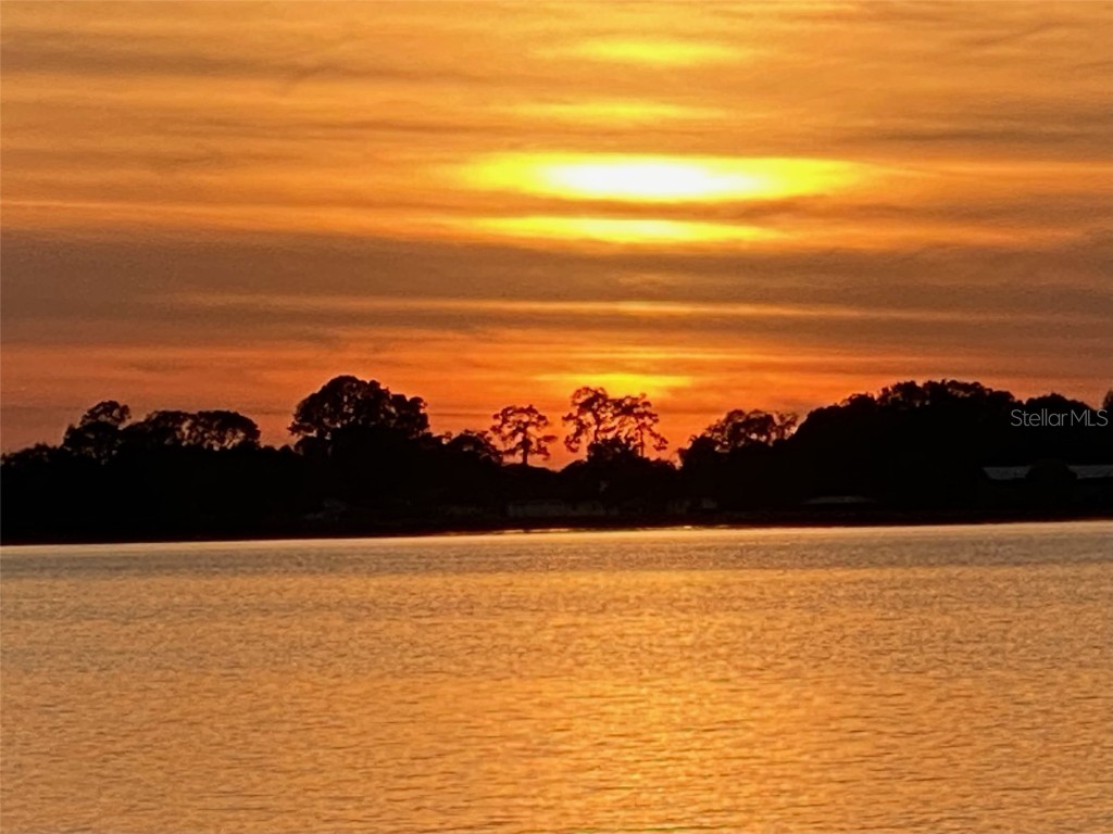 7051 Sadler Road Mount Dora FL 32757 - LAKE OLA O6348657 image64