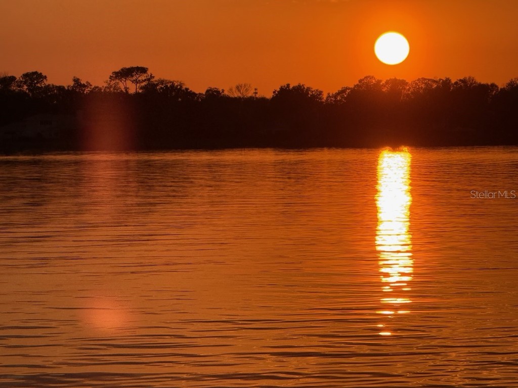 7051 Sadler Road Mount Dora FL 32757 - LAKE OLA O6348657 image65