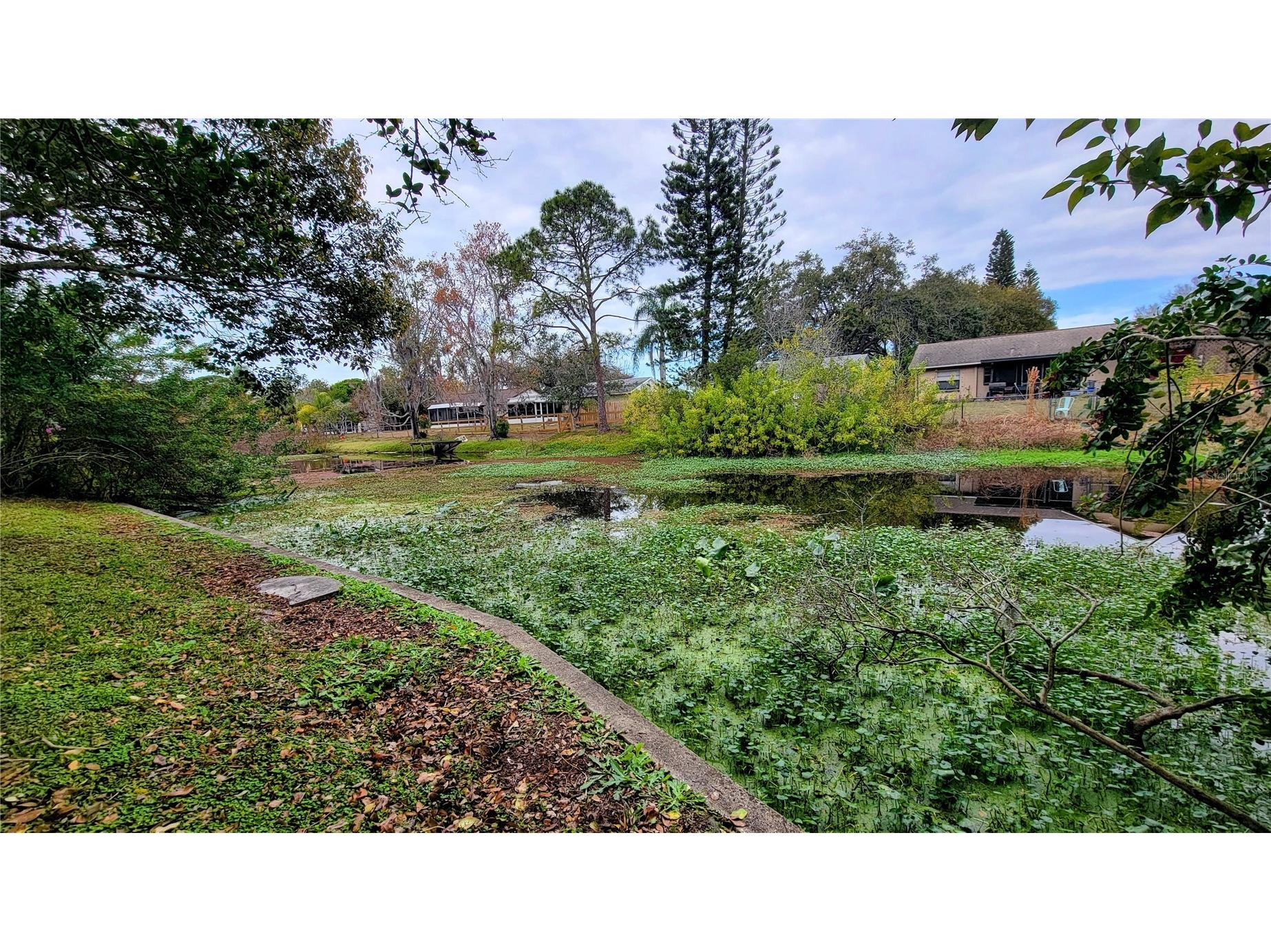 7051 Wentworth Way New Port Richey FL 34655 TB8478731 image19