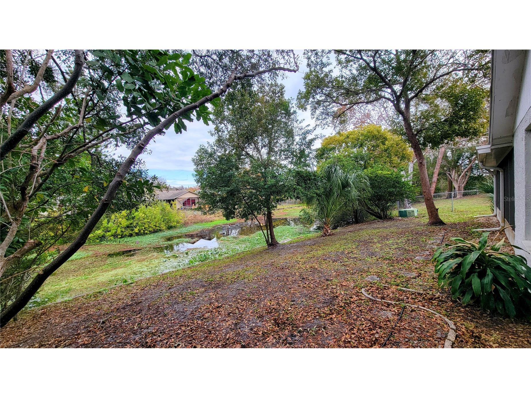 7051 Wentworth Way New Port Richey FL 34655 TB8478731 image24